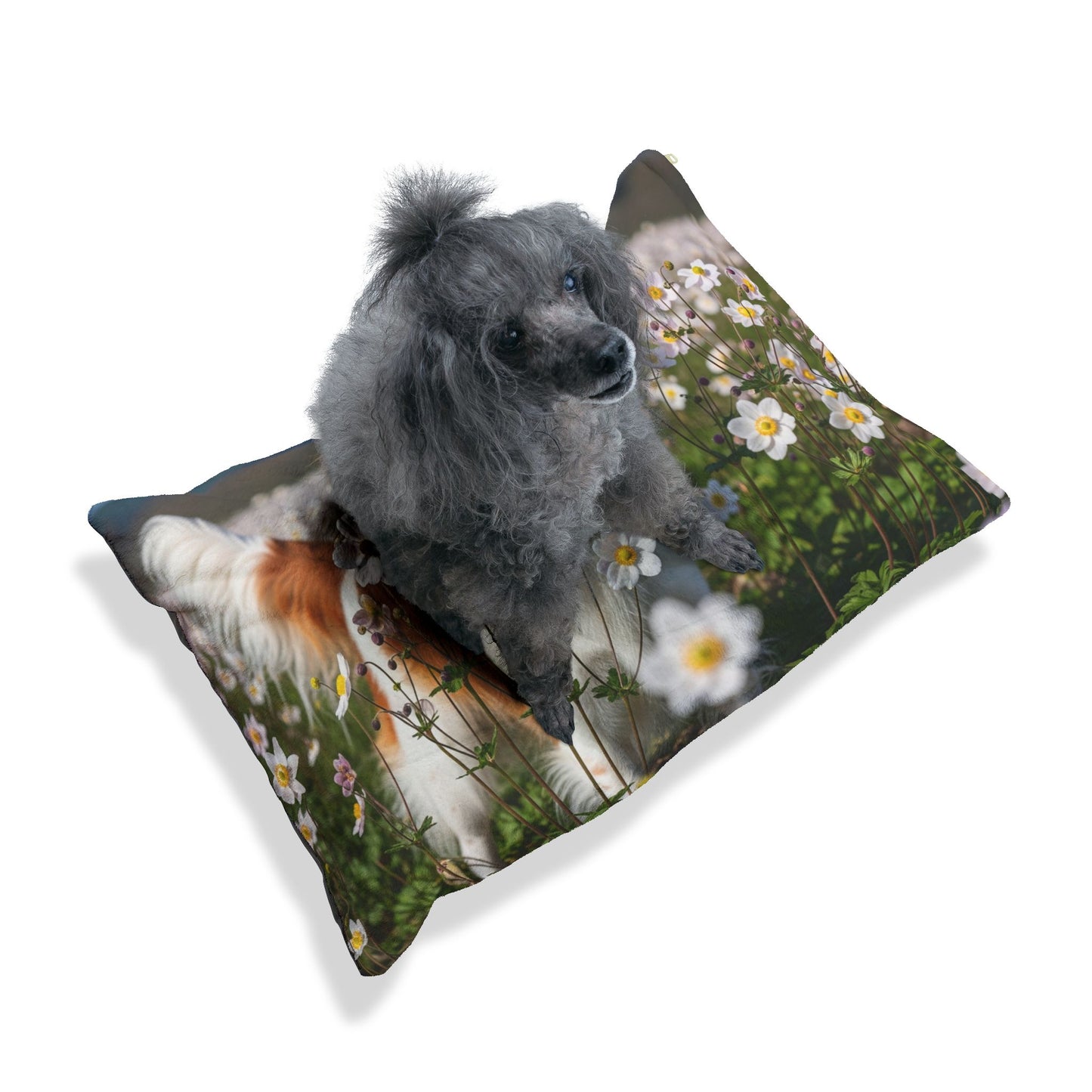 Nederlandse Kooikerhondje Pet Bed