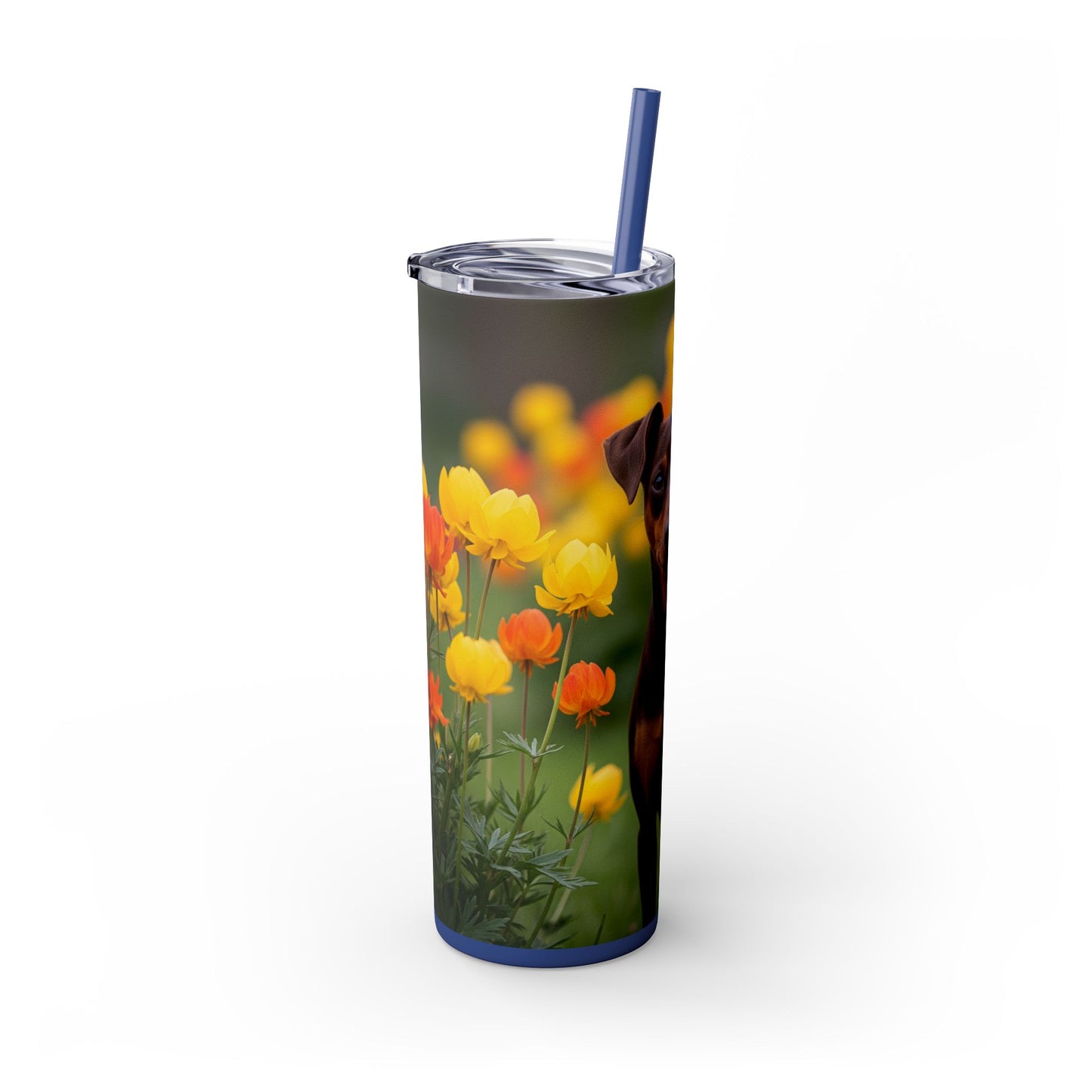 Miniature Pinscher Skinny Tumbler with Straw, 20oz