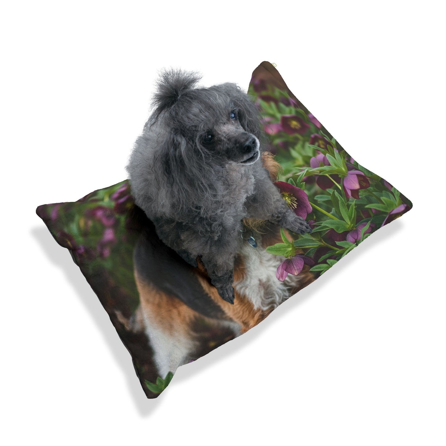 Wire Fox Terrier Pet Bed