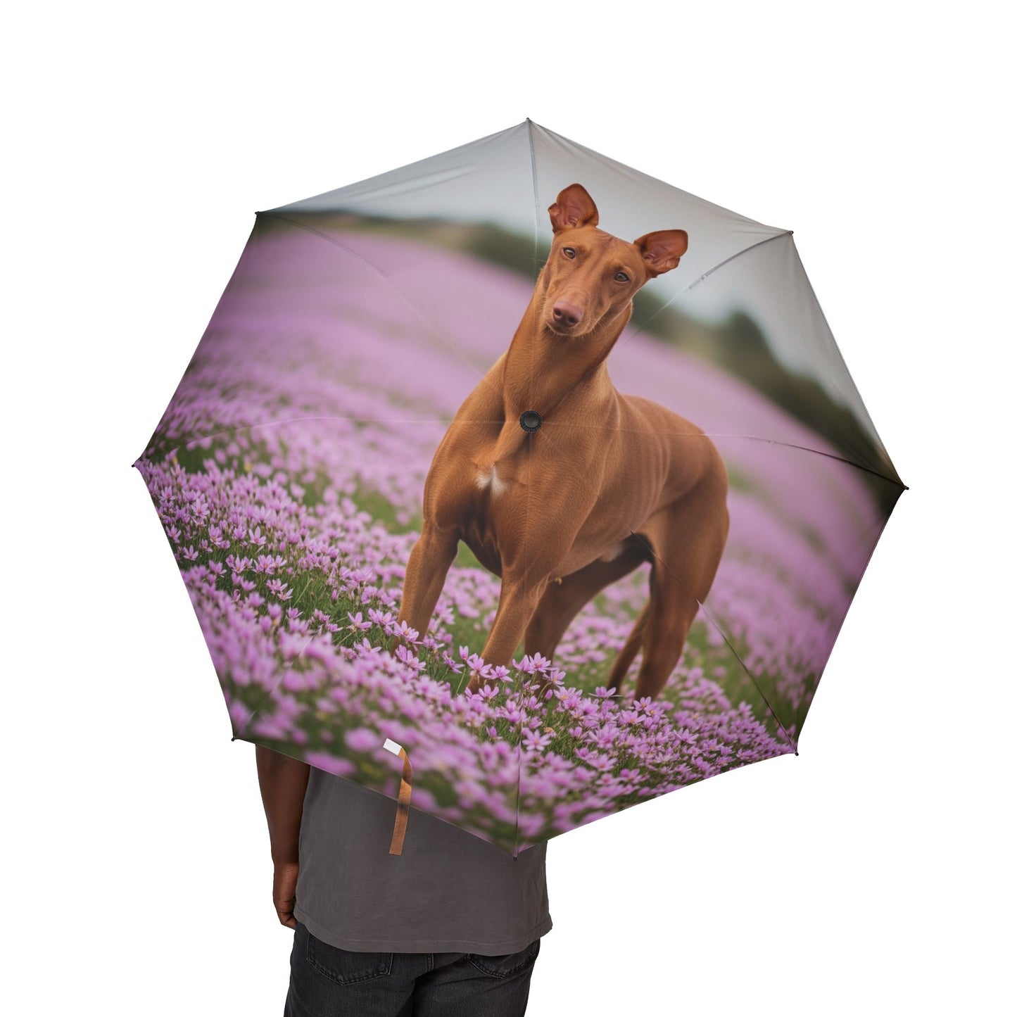 Pharaoh Hound Semi-Automatic Foldable Umbrella