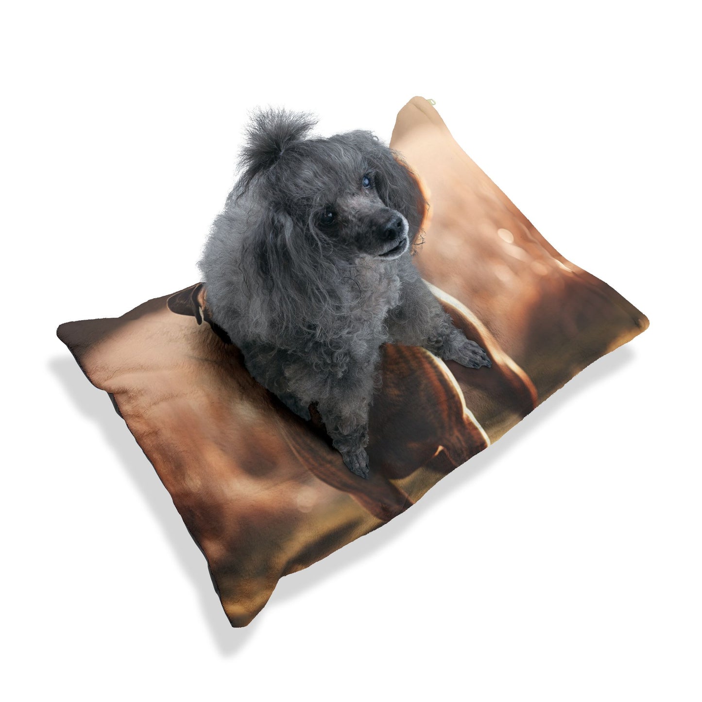 Presa Canario Pet Bed