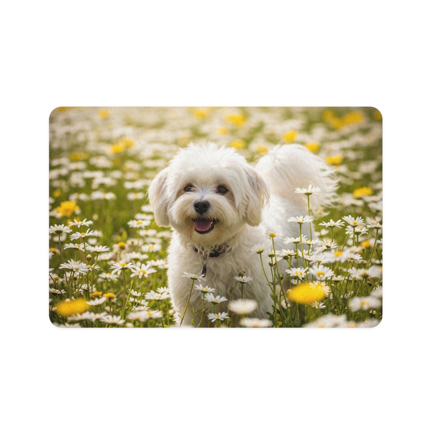 Pet Food Mat (12x18) - Lowchen