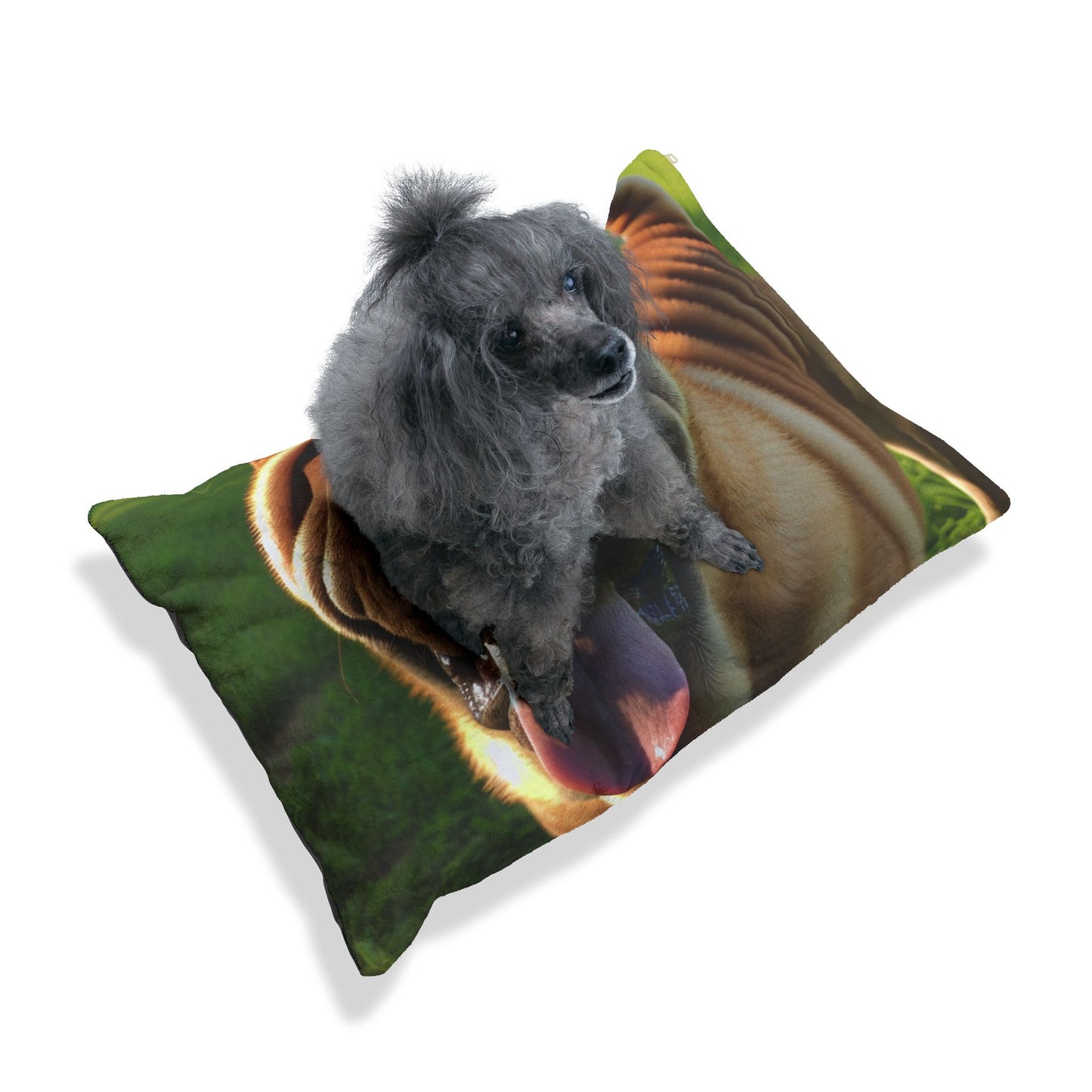 Shar Pei Pet Bed