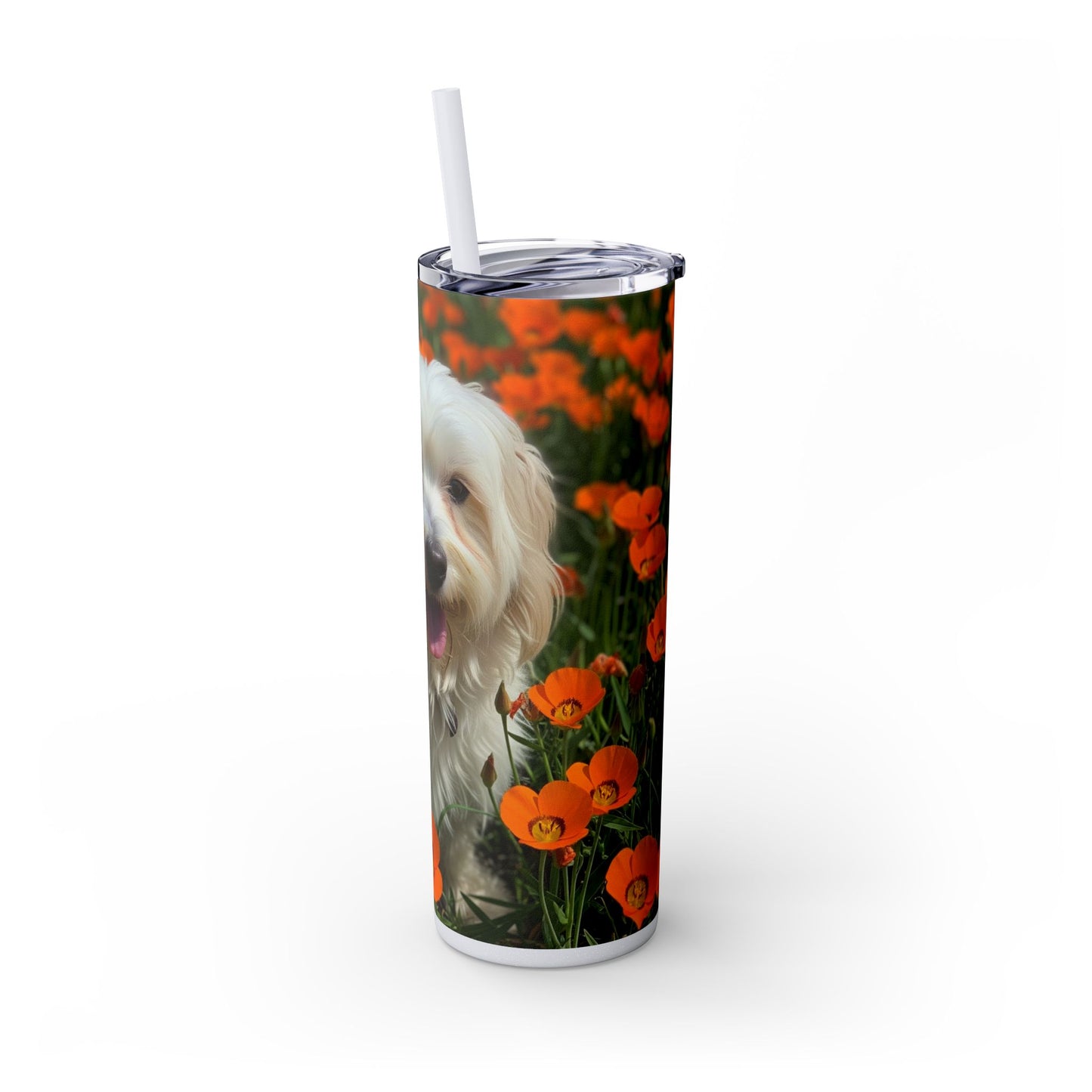Havanese Tumbler with Straw, 20oz