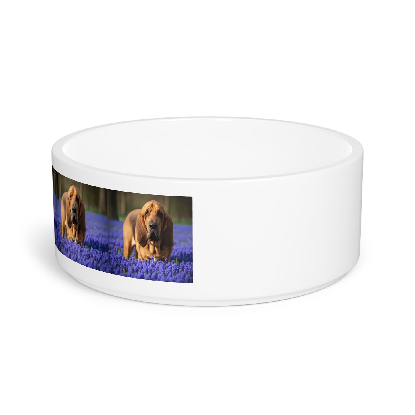 Bloodhound Pet Bowl