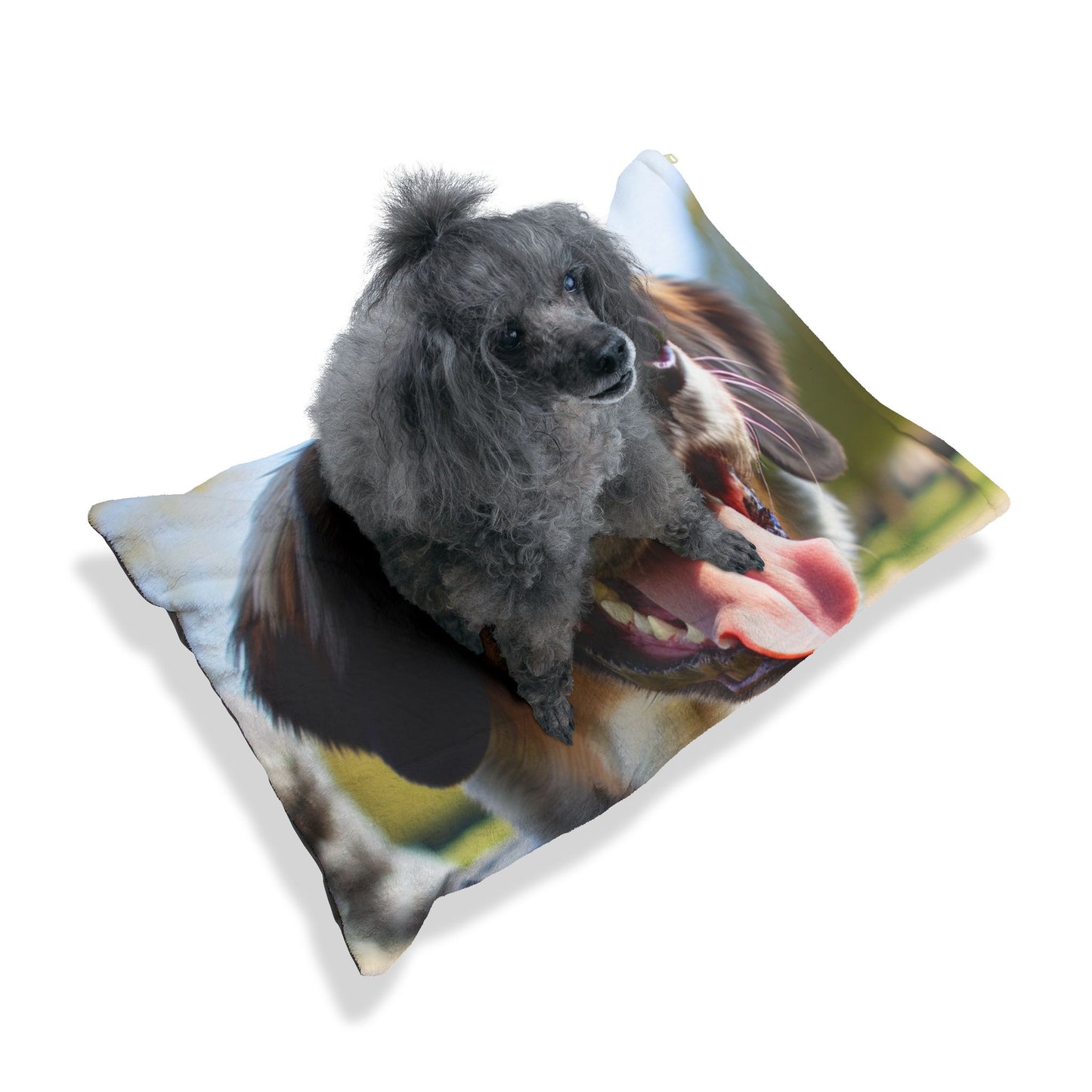 Braque Francais Pyrenean Pet Bed