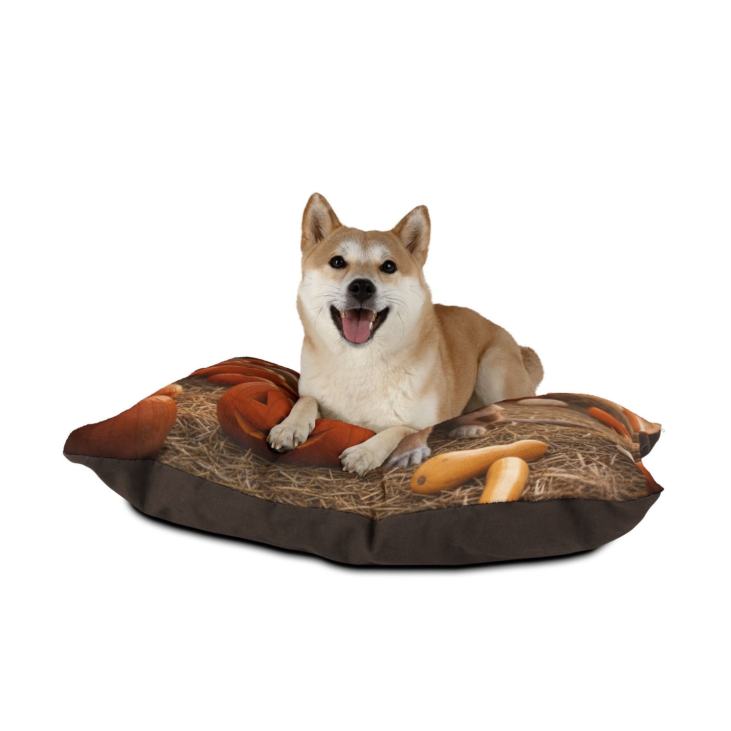Autumn Pumpkin Patch Pet Bed