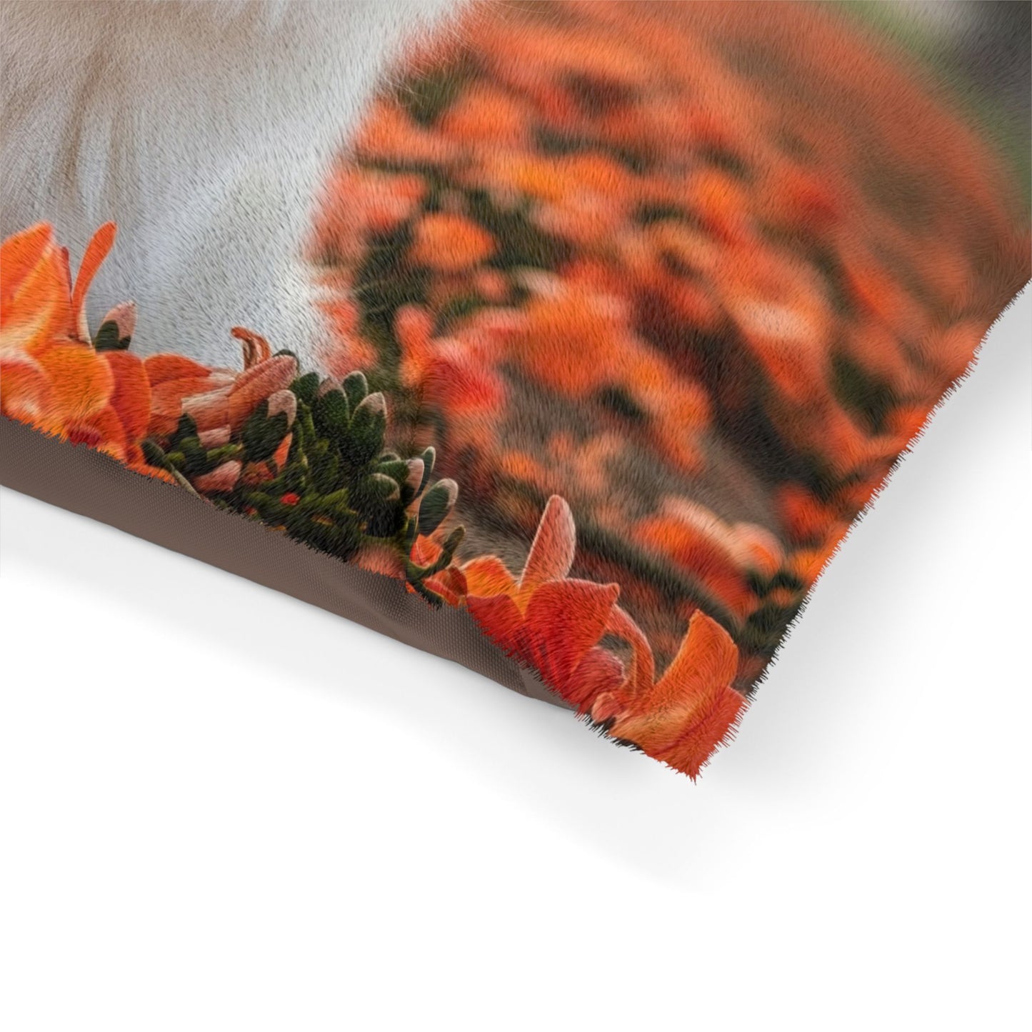 Indian Spitz Pet Bed