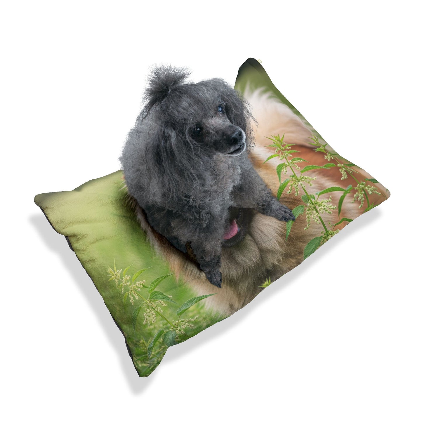 Eurasier Pet Bed