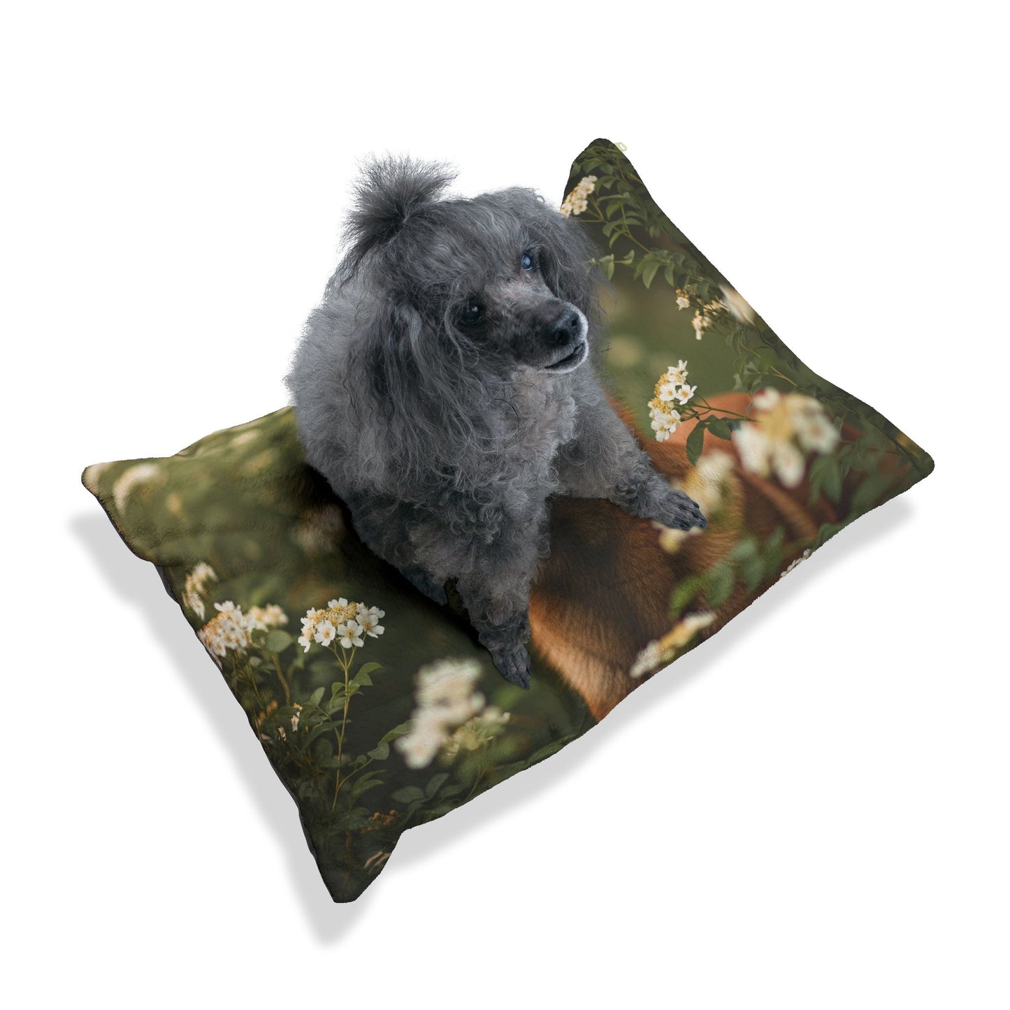 Belgian Shepherd Dog Laekenois Pet Bed