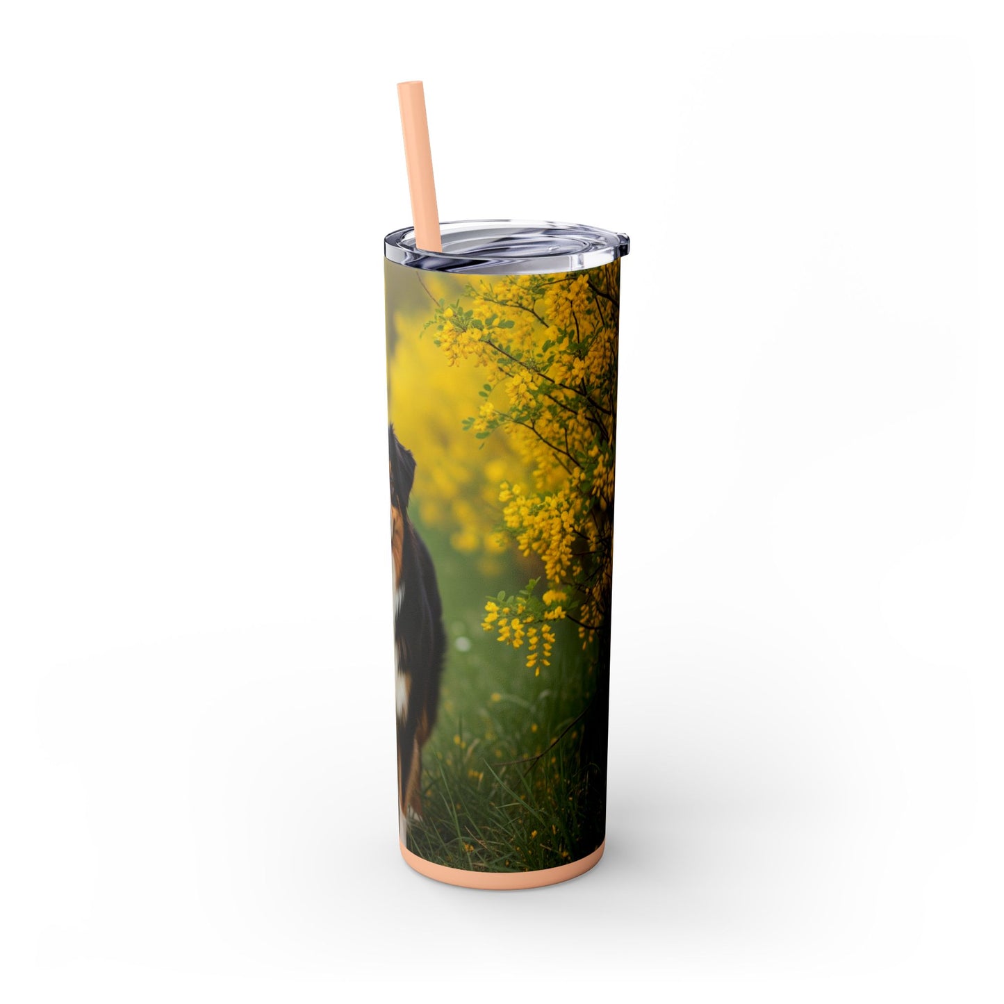 Australian Shepherd Skinny Tumbler with Straw, 20oz