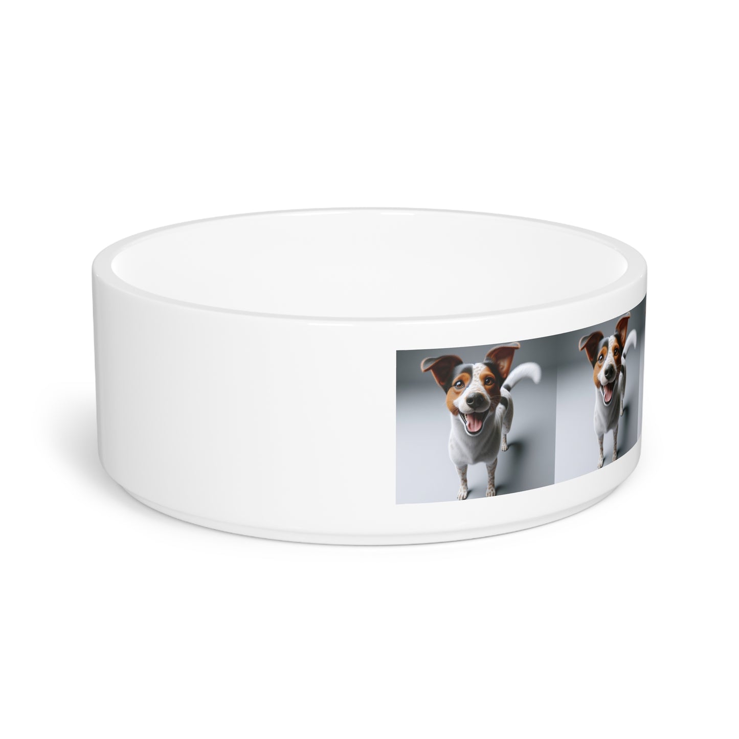 Kromfohrlander Pet Bowl