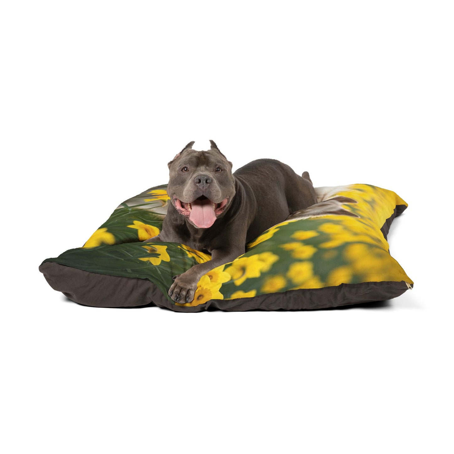 Keeshond Pet Bed