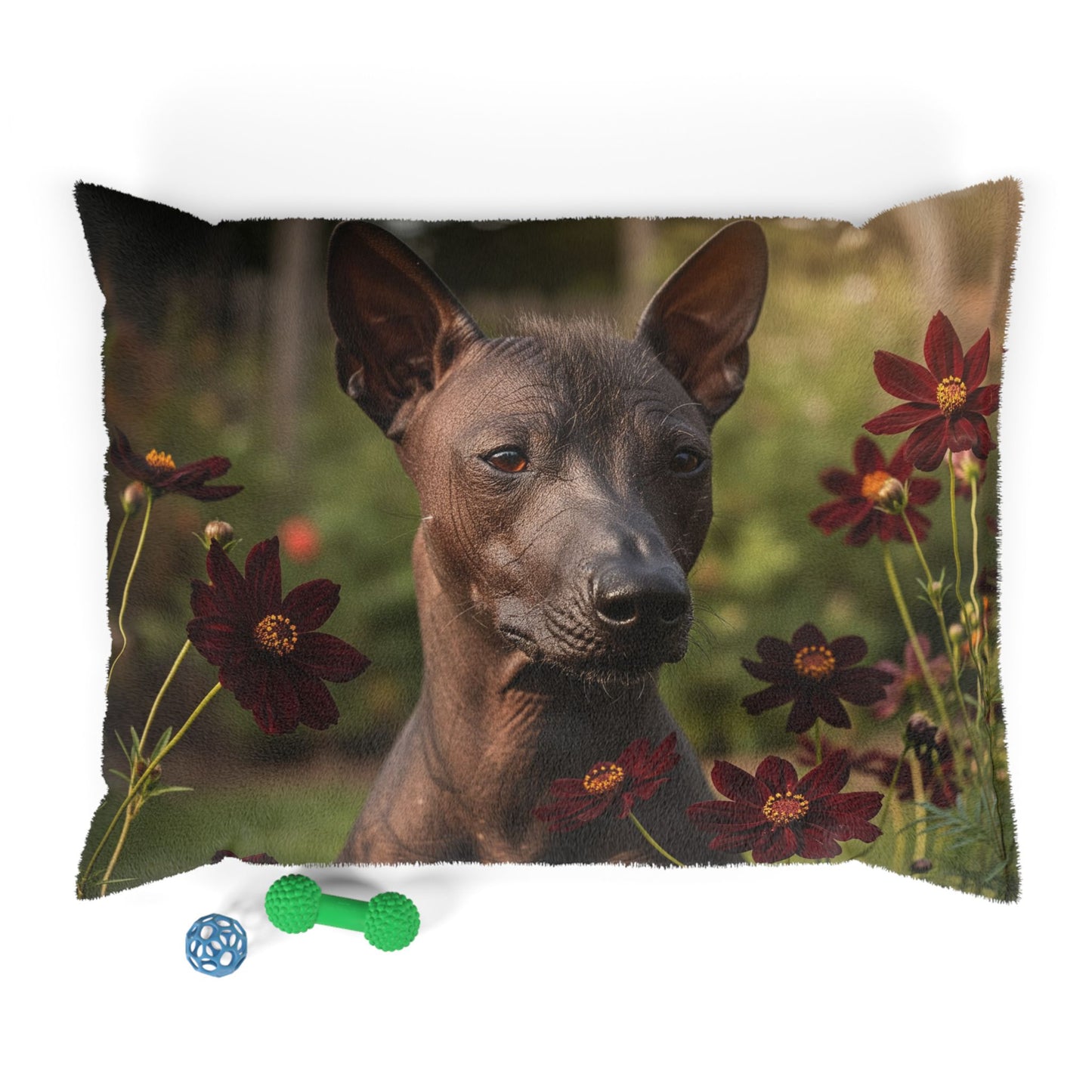 Xoloitzcuintli Pet Bed