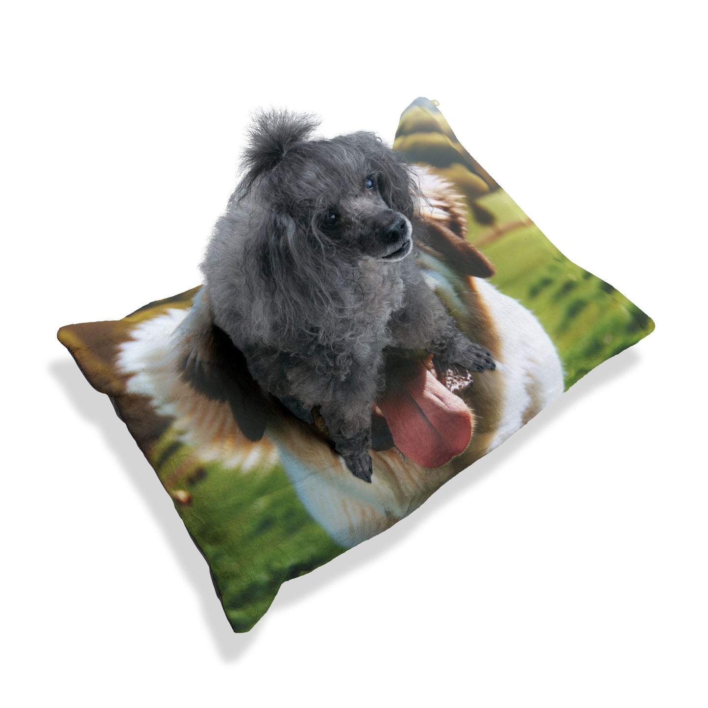 Pyrenean Mastiff Pet Bed