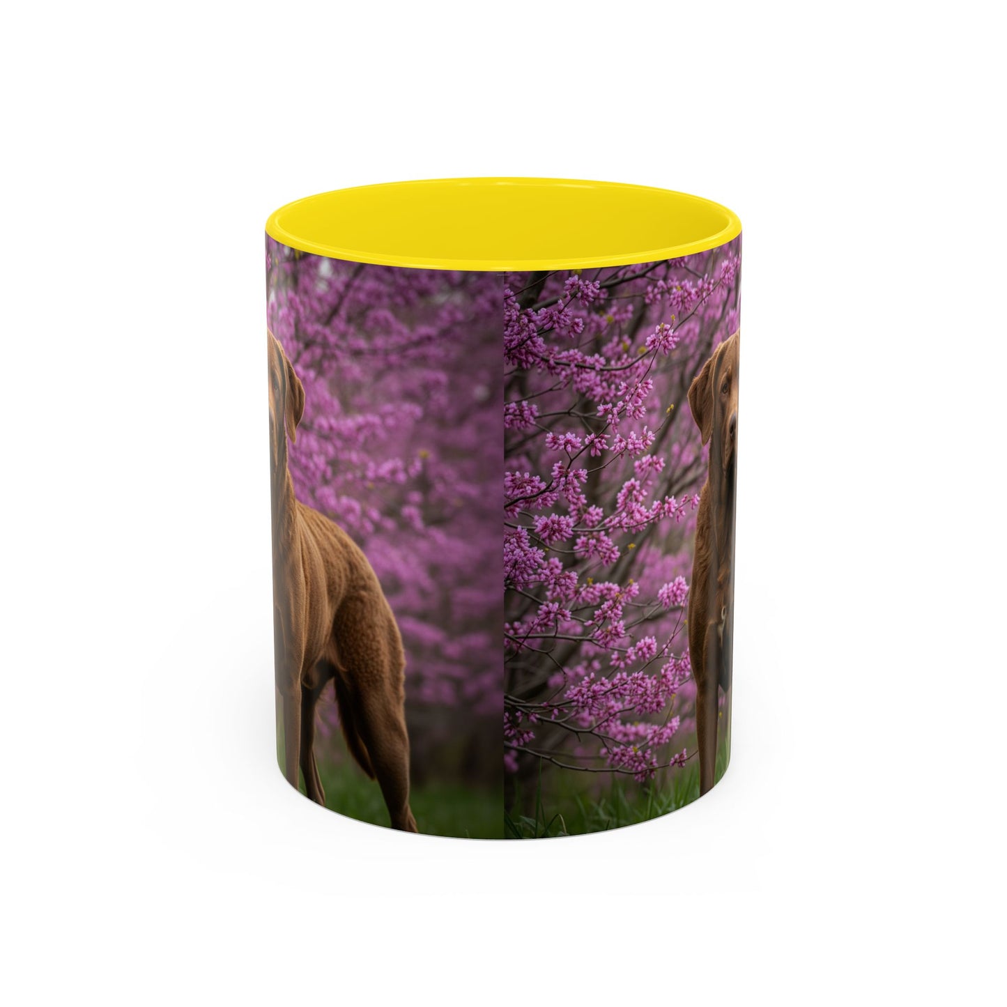 Chesapeake Bay Retriever Accent Coffee Mug - Perfect Gift for Dog Lovers