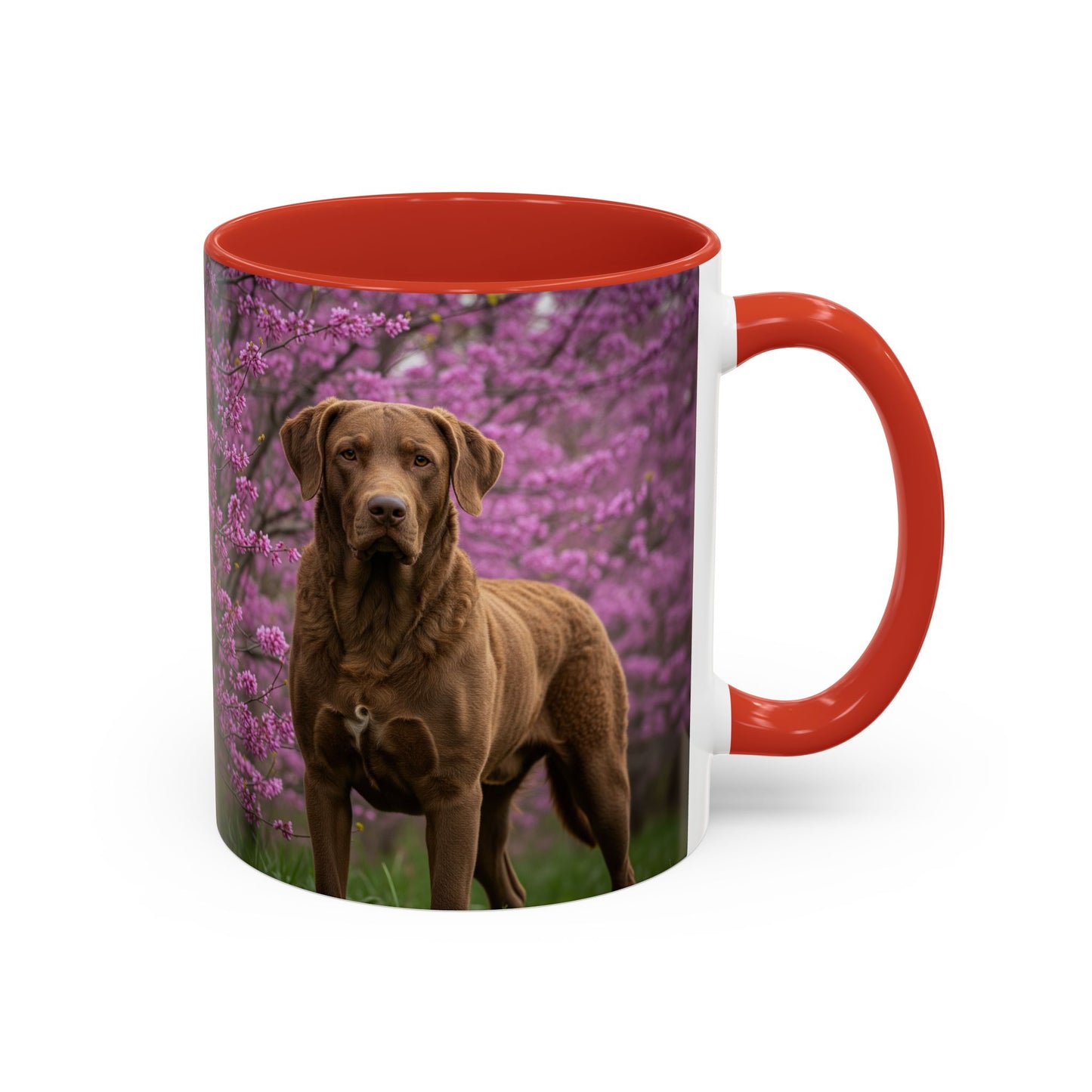 Chesapeake Bay Retriever Accent Coffee Mug - Perfect Gift for Dog Lovers