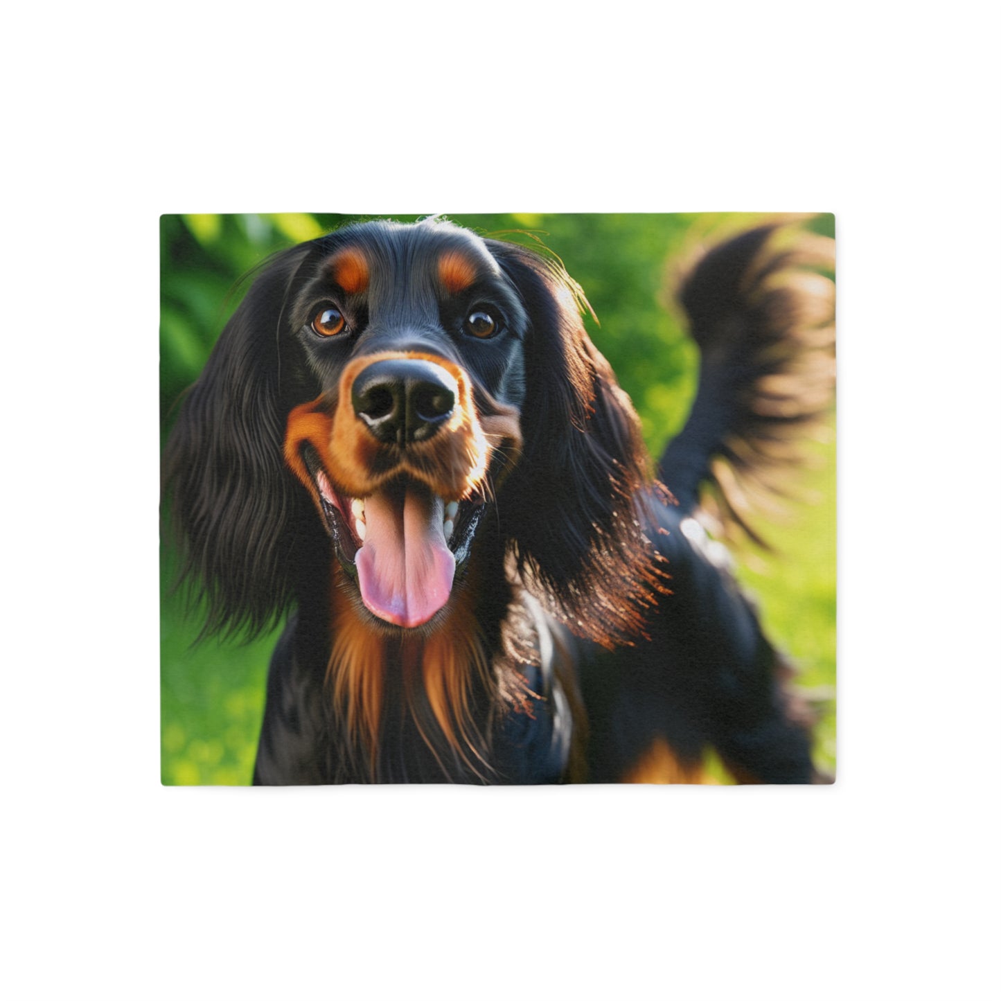 Gordon Setter Sweatshirt Blanket