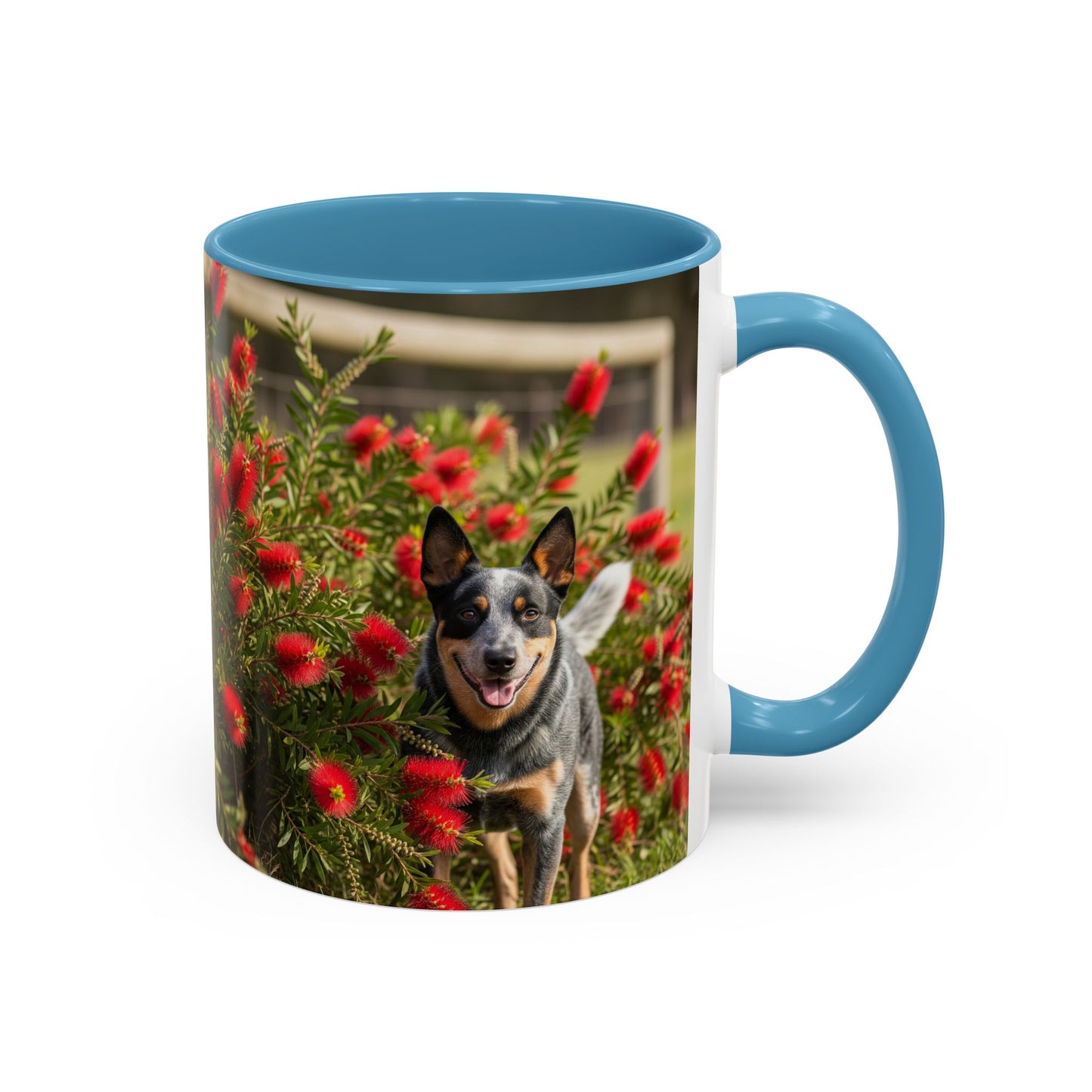 Australian Cattle Dog Accent Coffee Mug - Perfect Gift for Dog Lovers