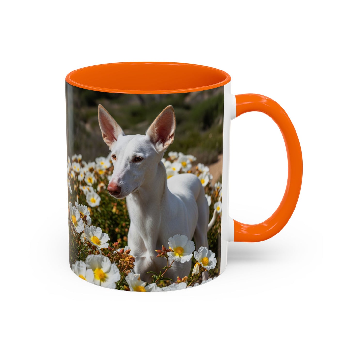 Ibizan Hound Accent Coffee Mug - Perfect Gift for Dog Lovers
