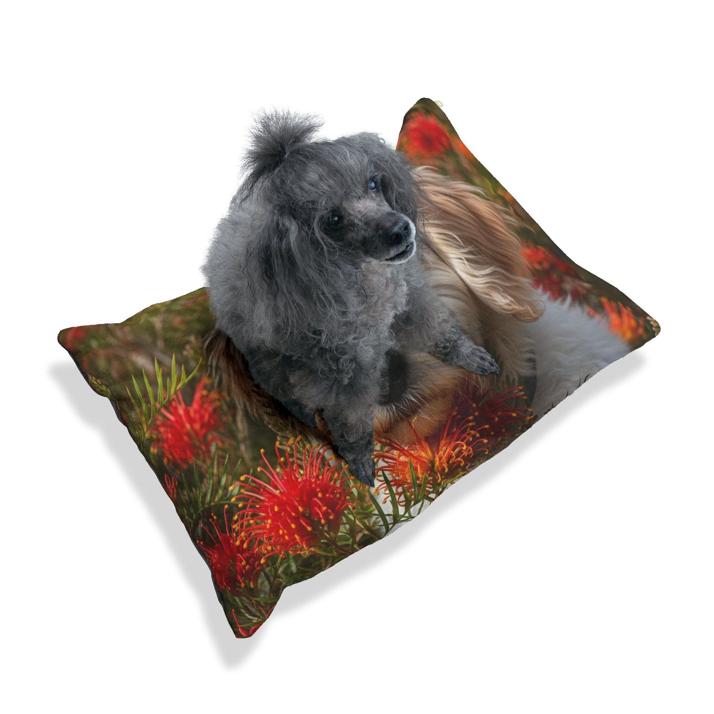 Labradoodle Pet Bed