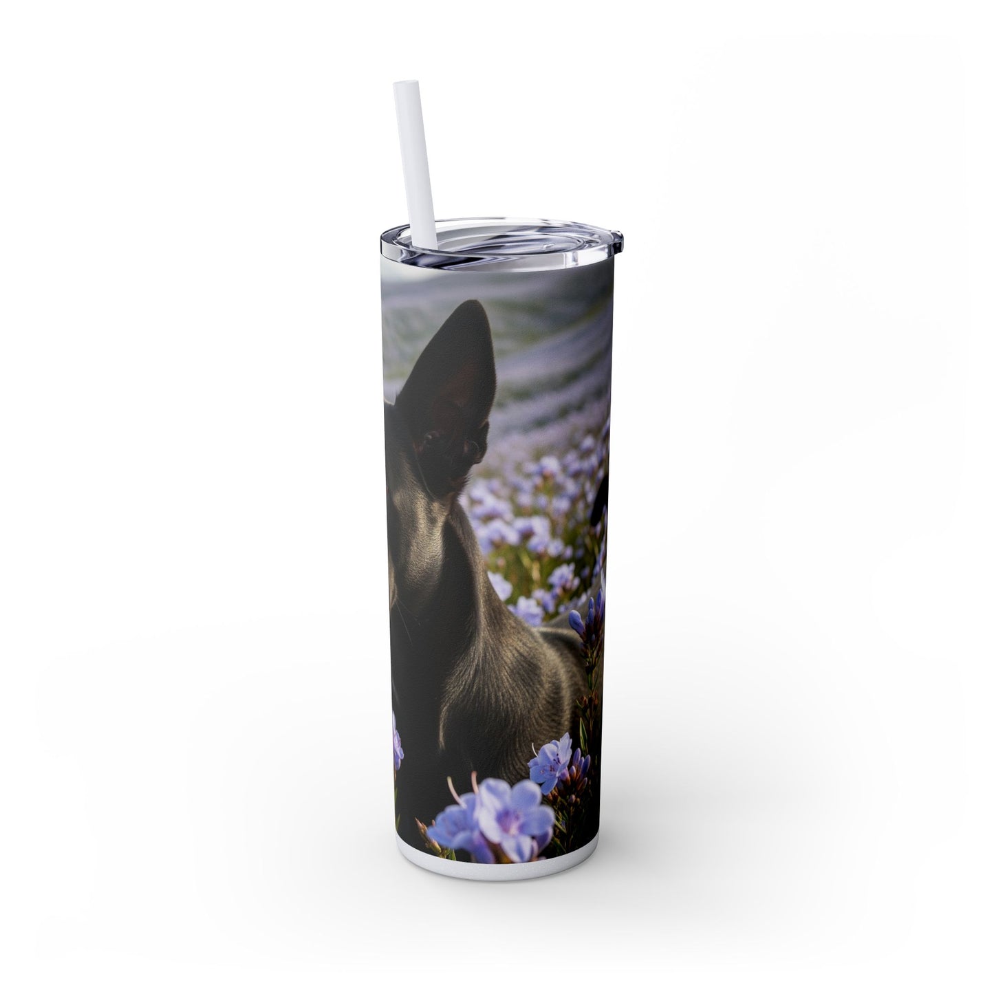 Kanni Tumbler with Straw, 20oz