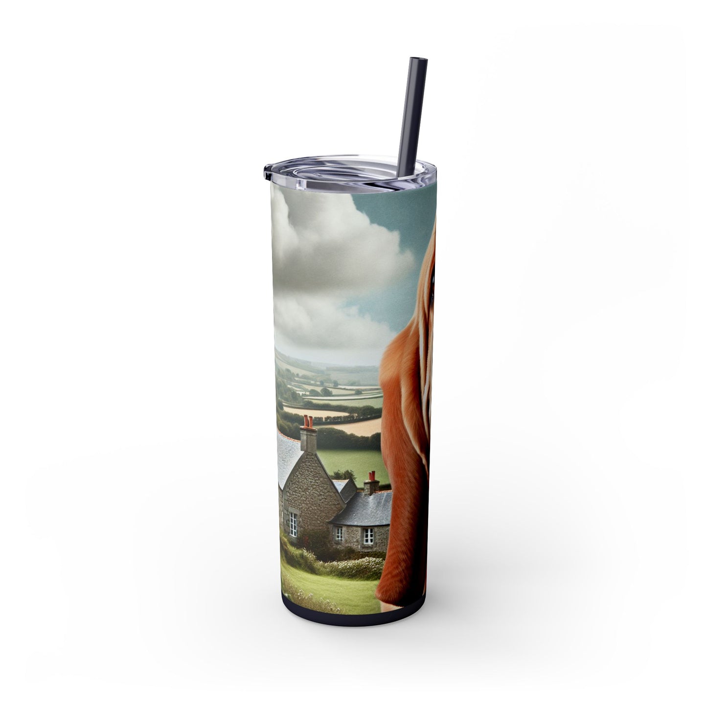 Basset Fauve de Bretagne Tumbler with Straw, 20oz