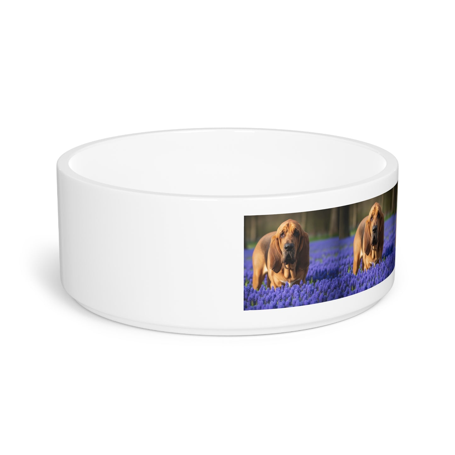 Bloodhound Pet Bowl