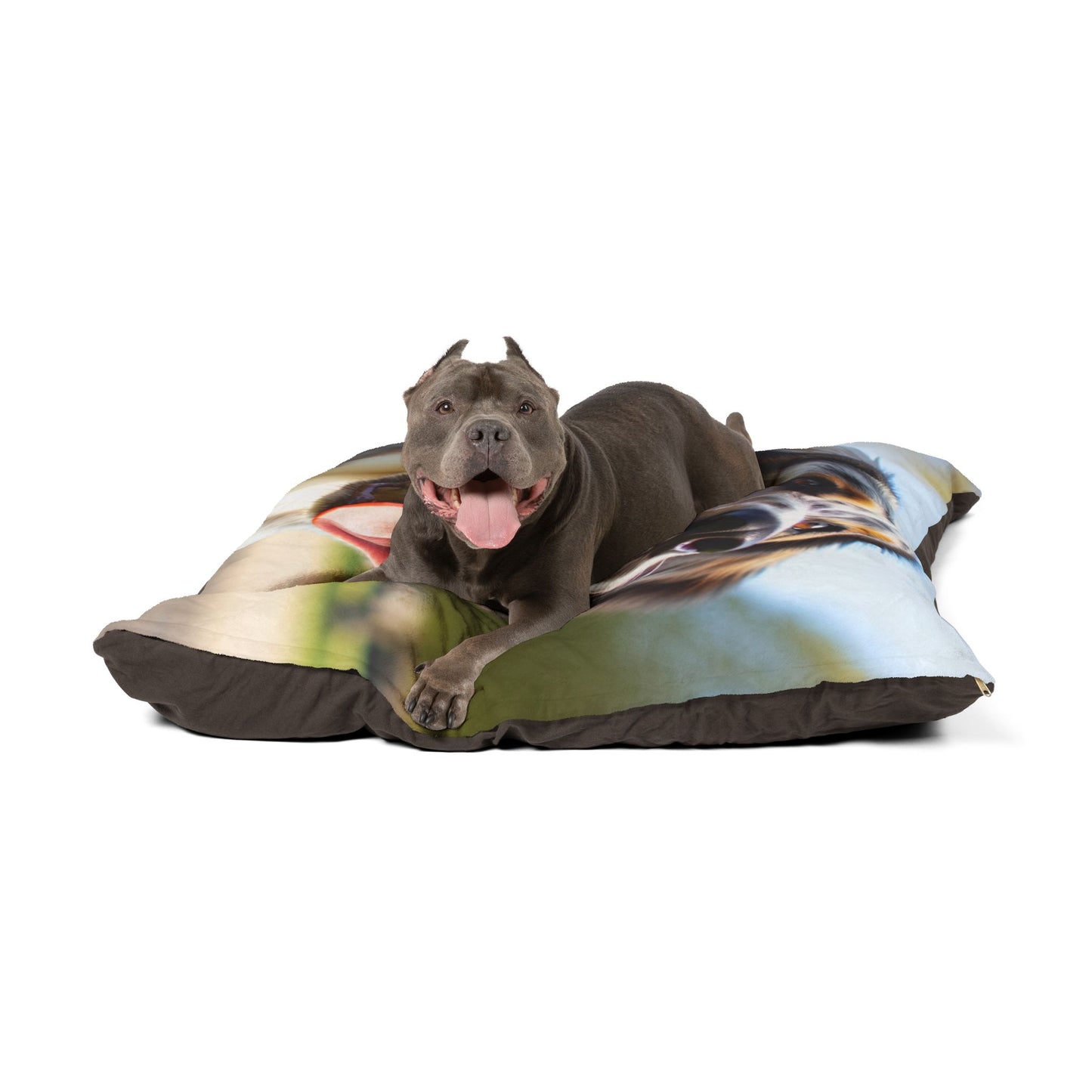 Braque Francais Pyrenean Pet Bed