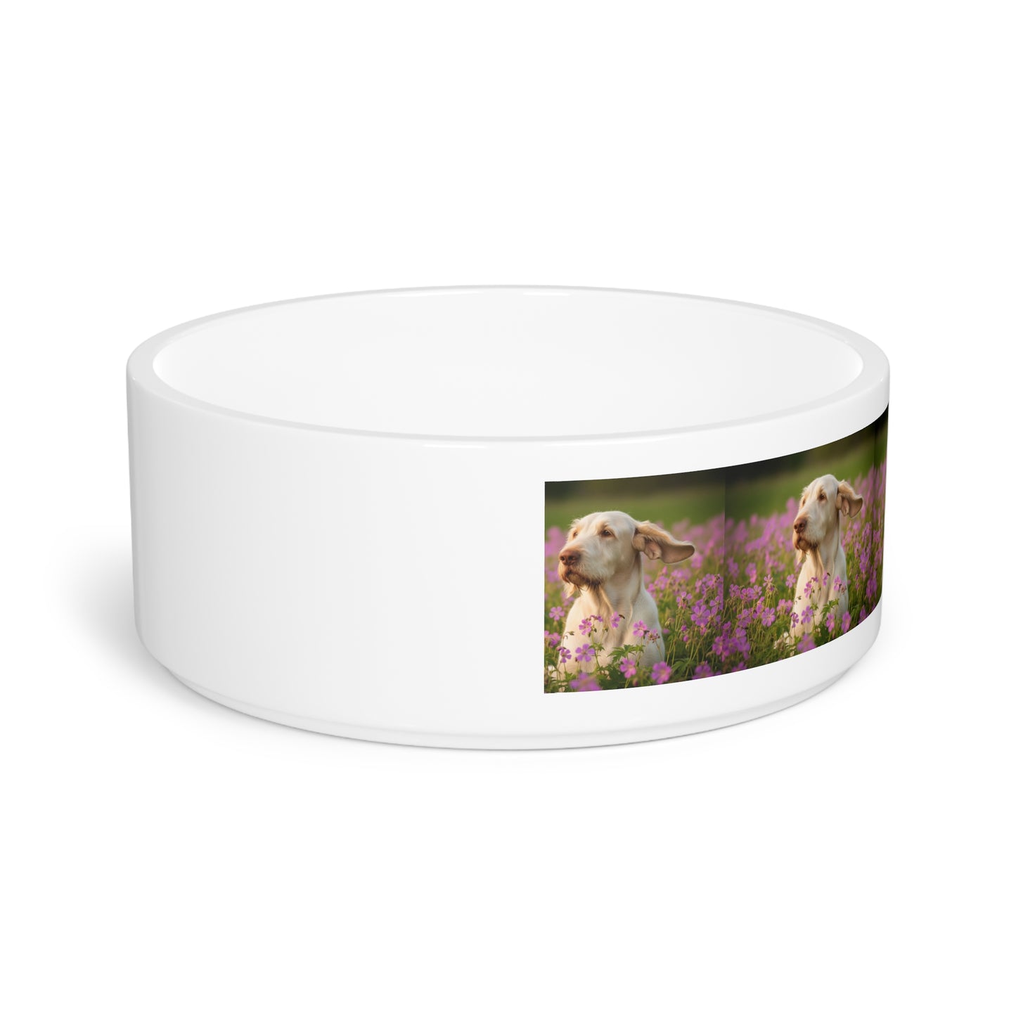 Spinone Italiano Pet Bowl
