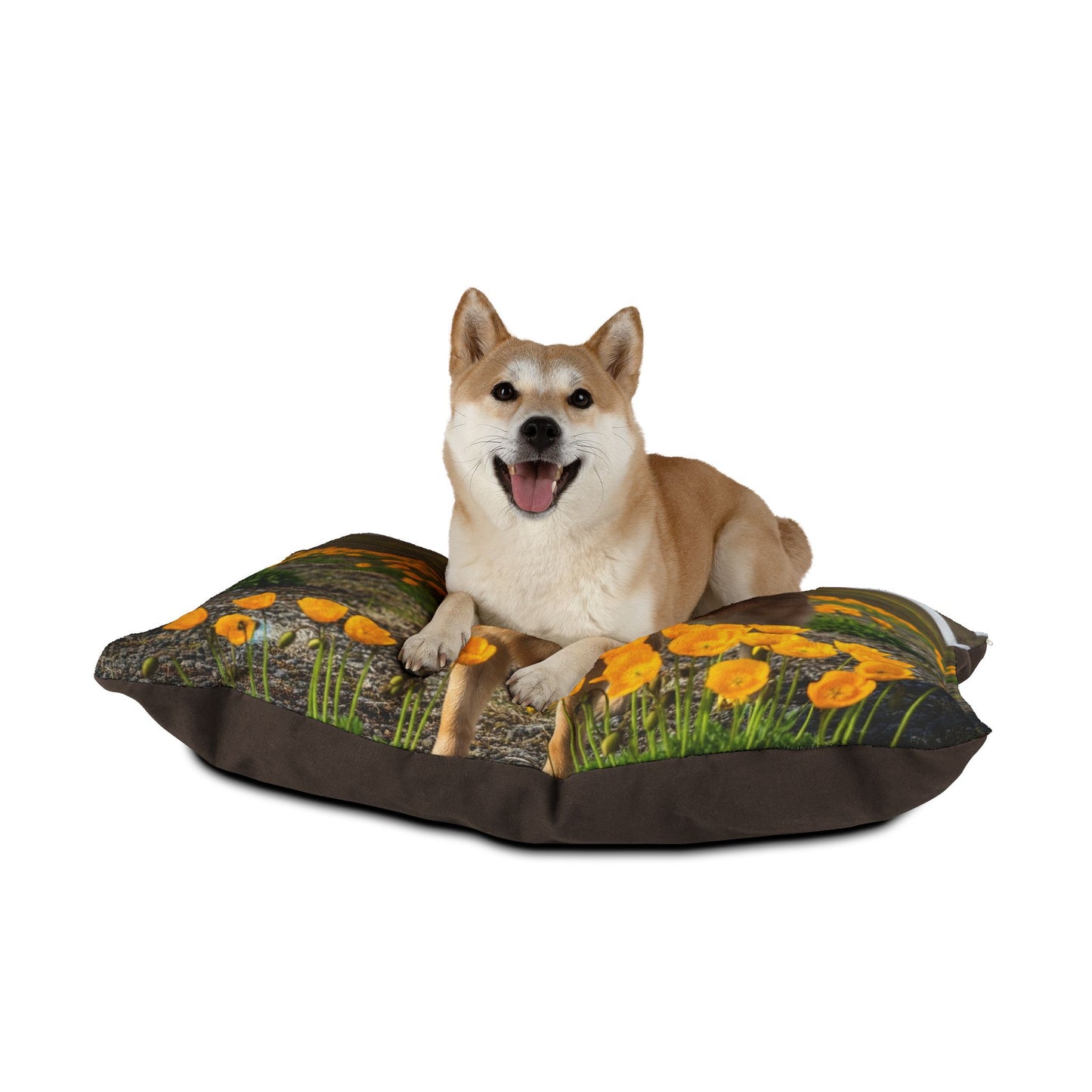 Norwegian Buhund Pet Bed