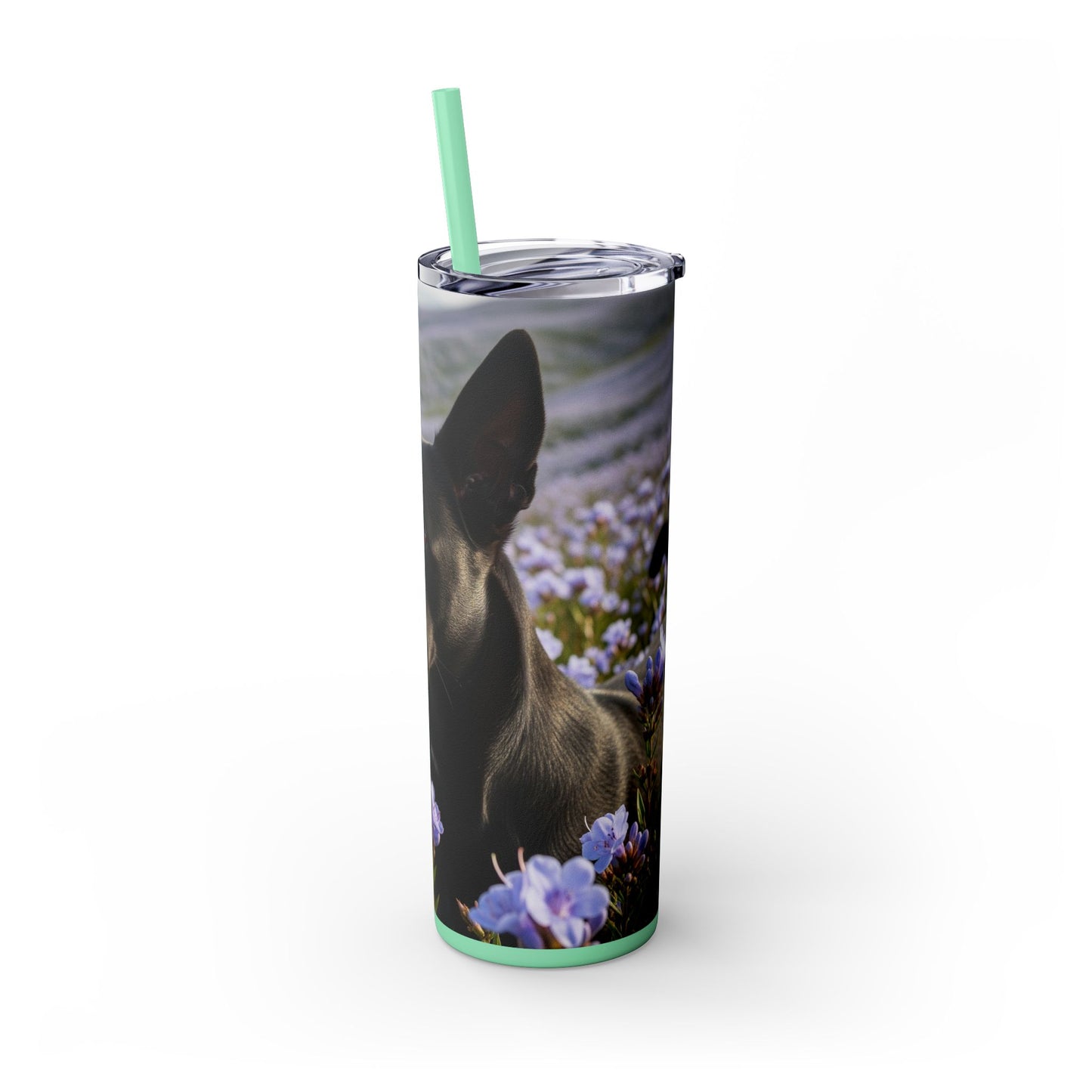 Kanni Tumbler with Straw, 20oz