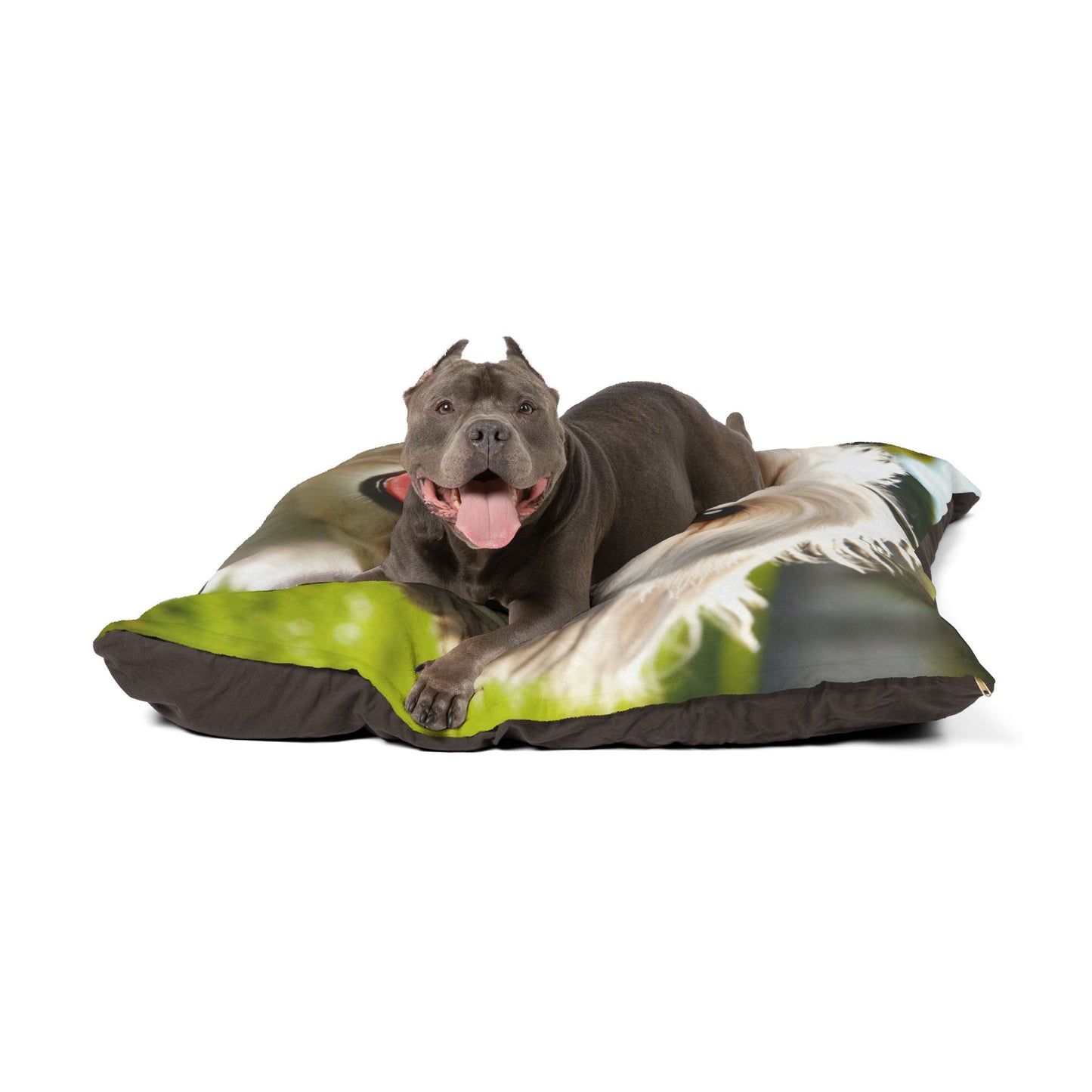 Havamalt Pet Bed