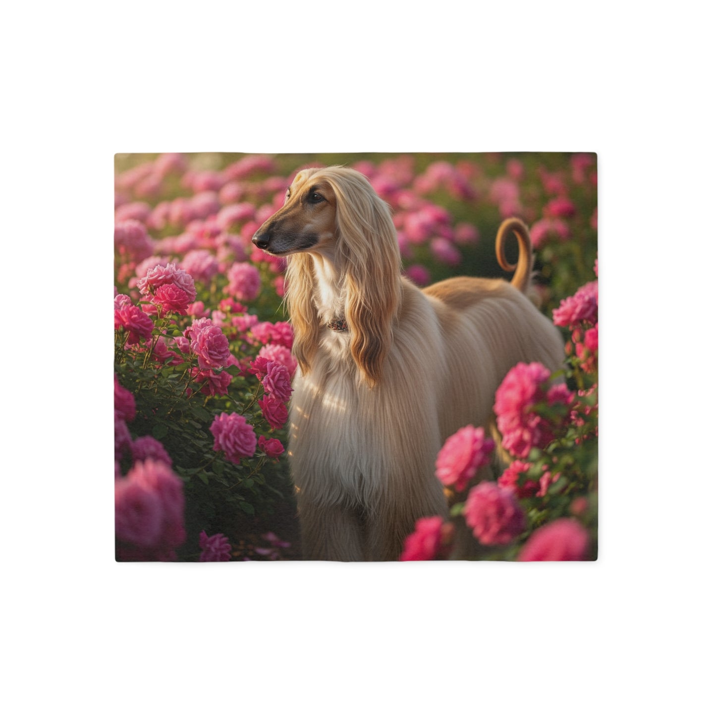 Afghan Hound Sweatshirt Blanket