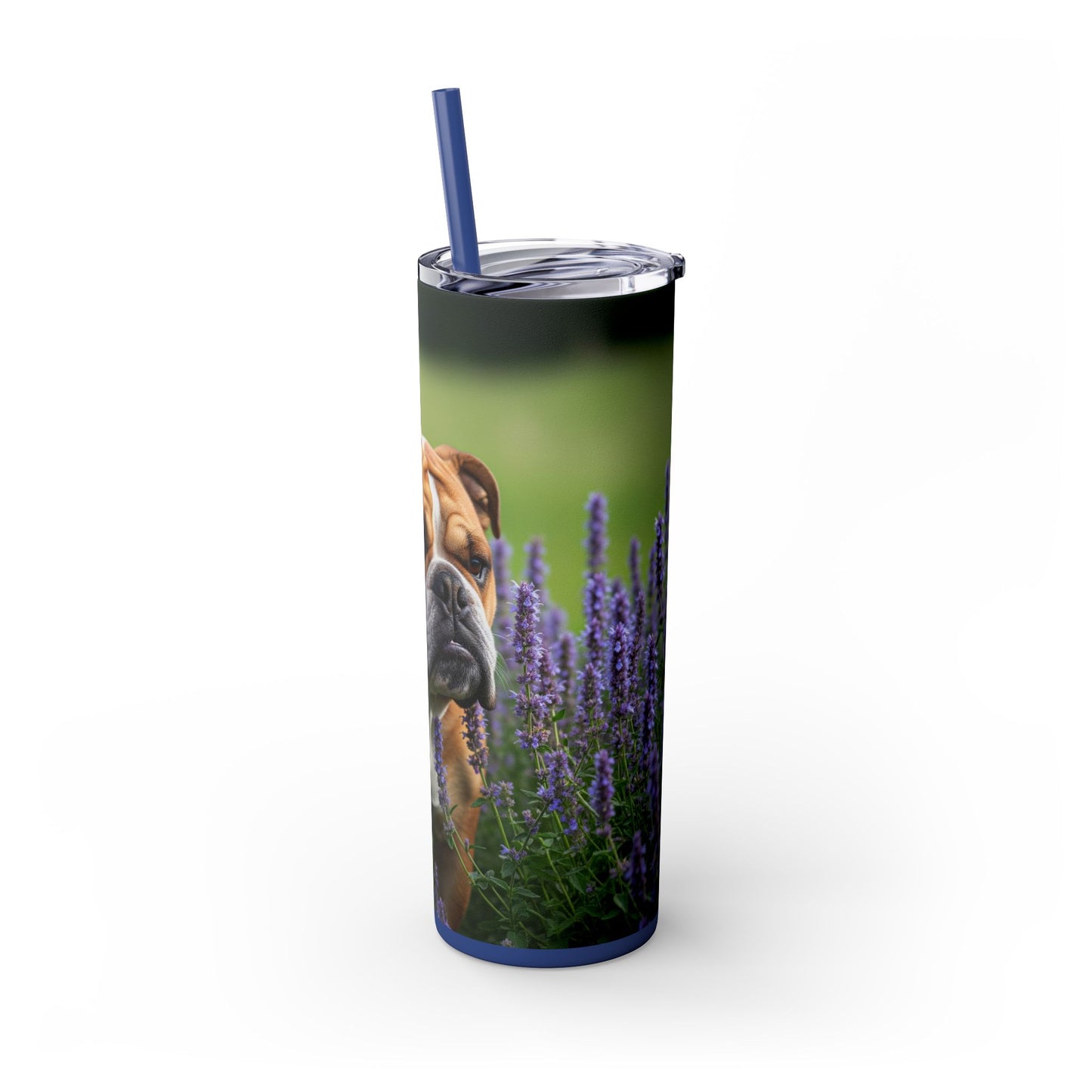 British Bulldog Tumbler with Straw, 20oz
