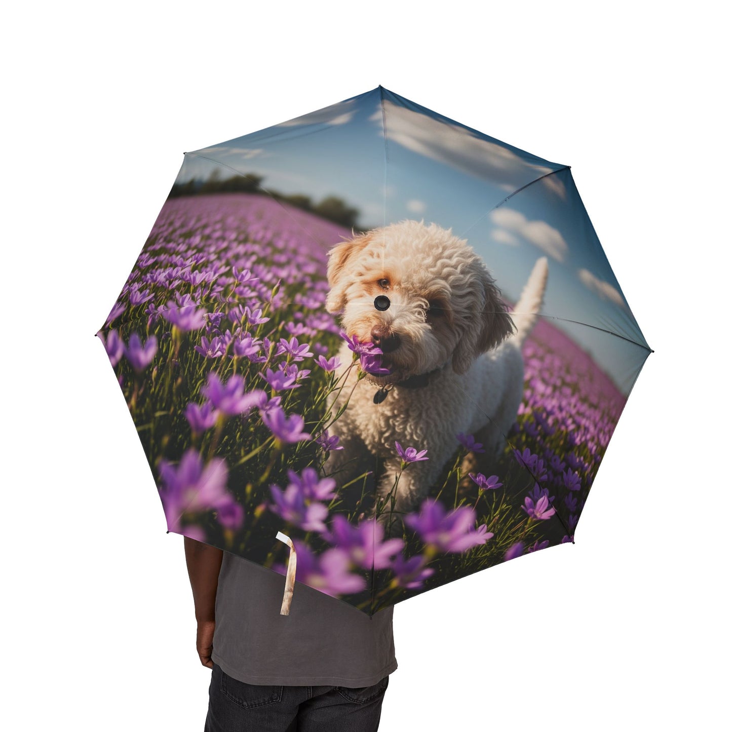 Lagotto Romagnolo Semi-Automatic Foldable Umbrella