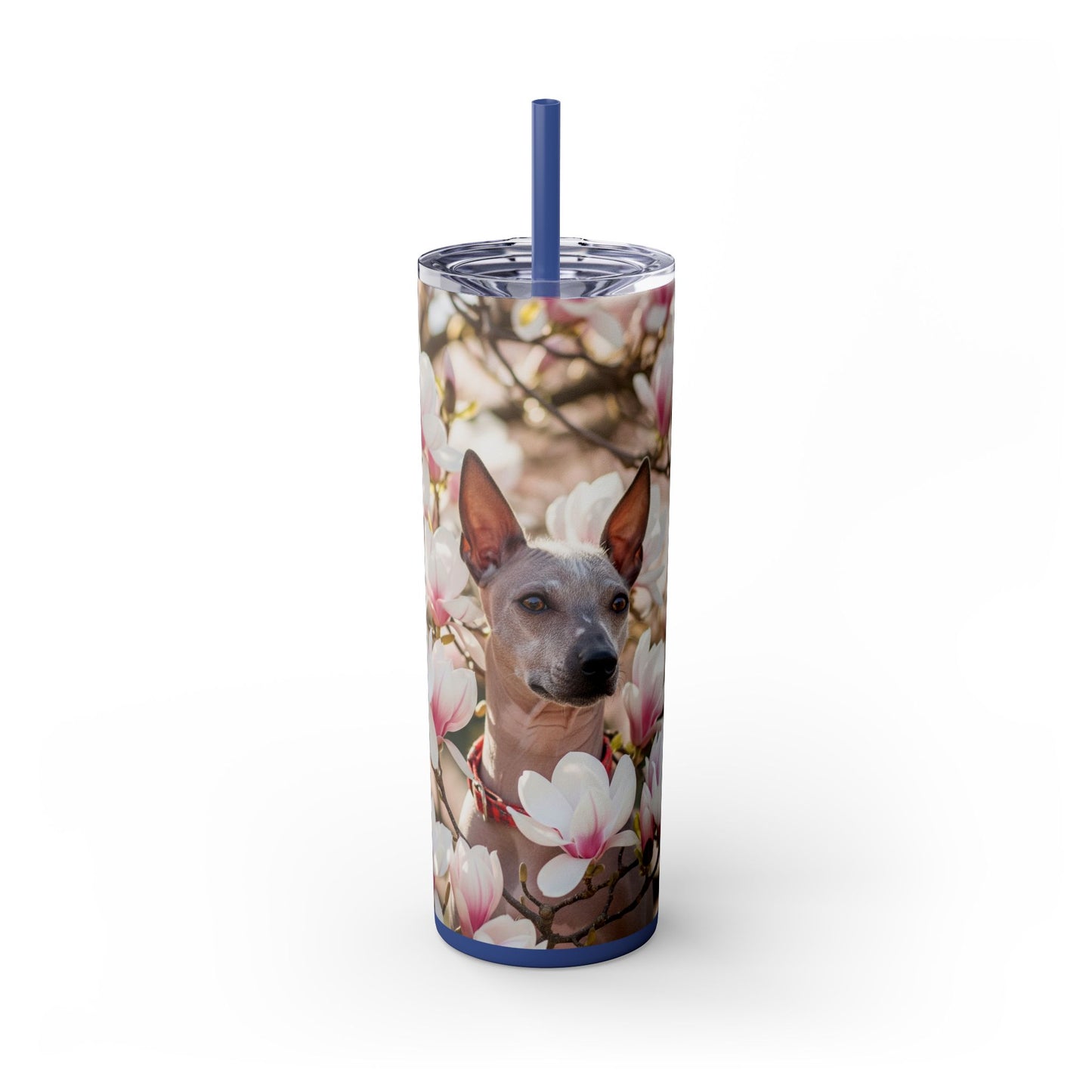 American Hairless Terrier Skinny Tumbler with Straw, 20oz
