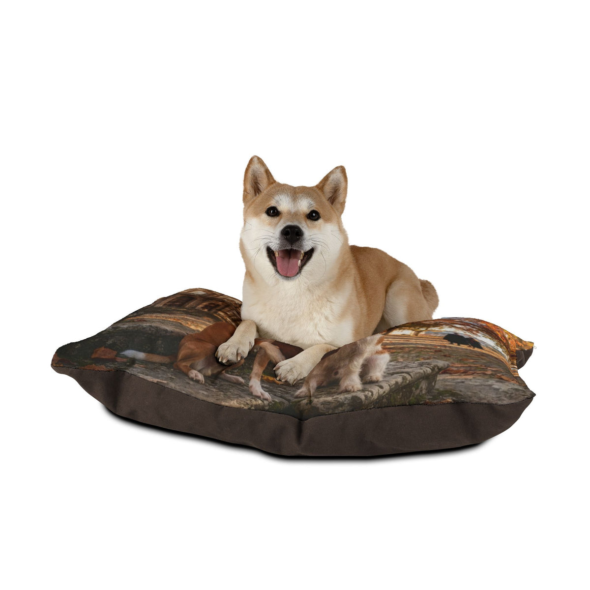 Portuguese Podengo Pet Bed