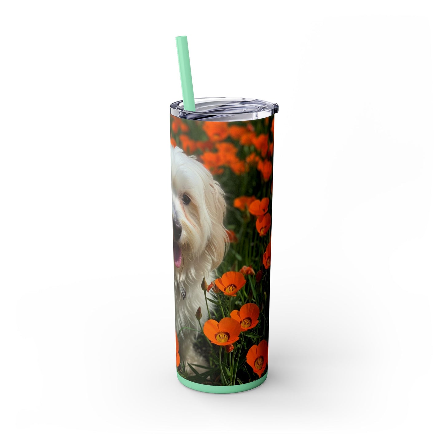 Havanese Tumbler with Straw, 20oz