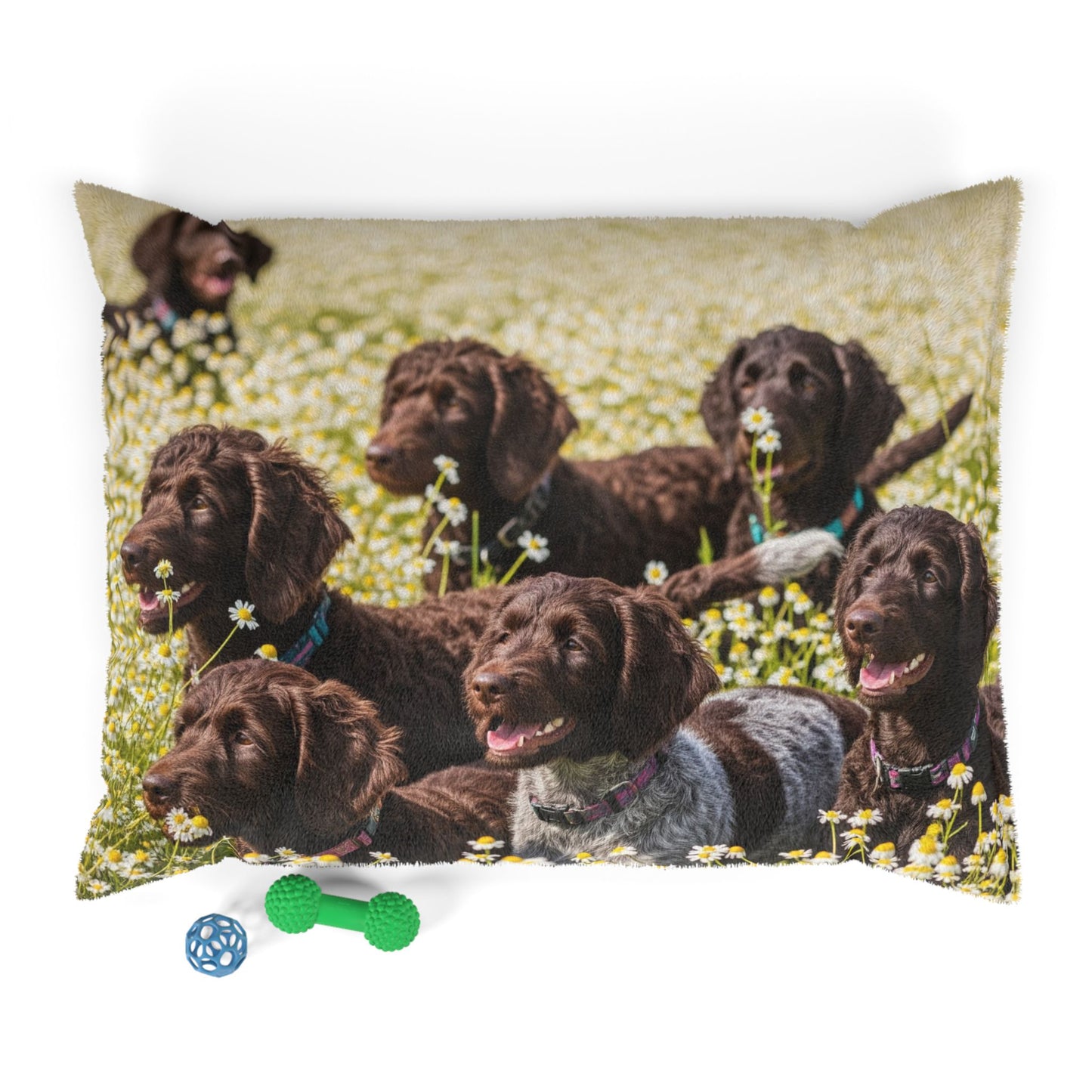 Pudelpointer Pet Bed
