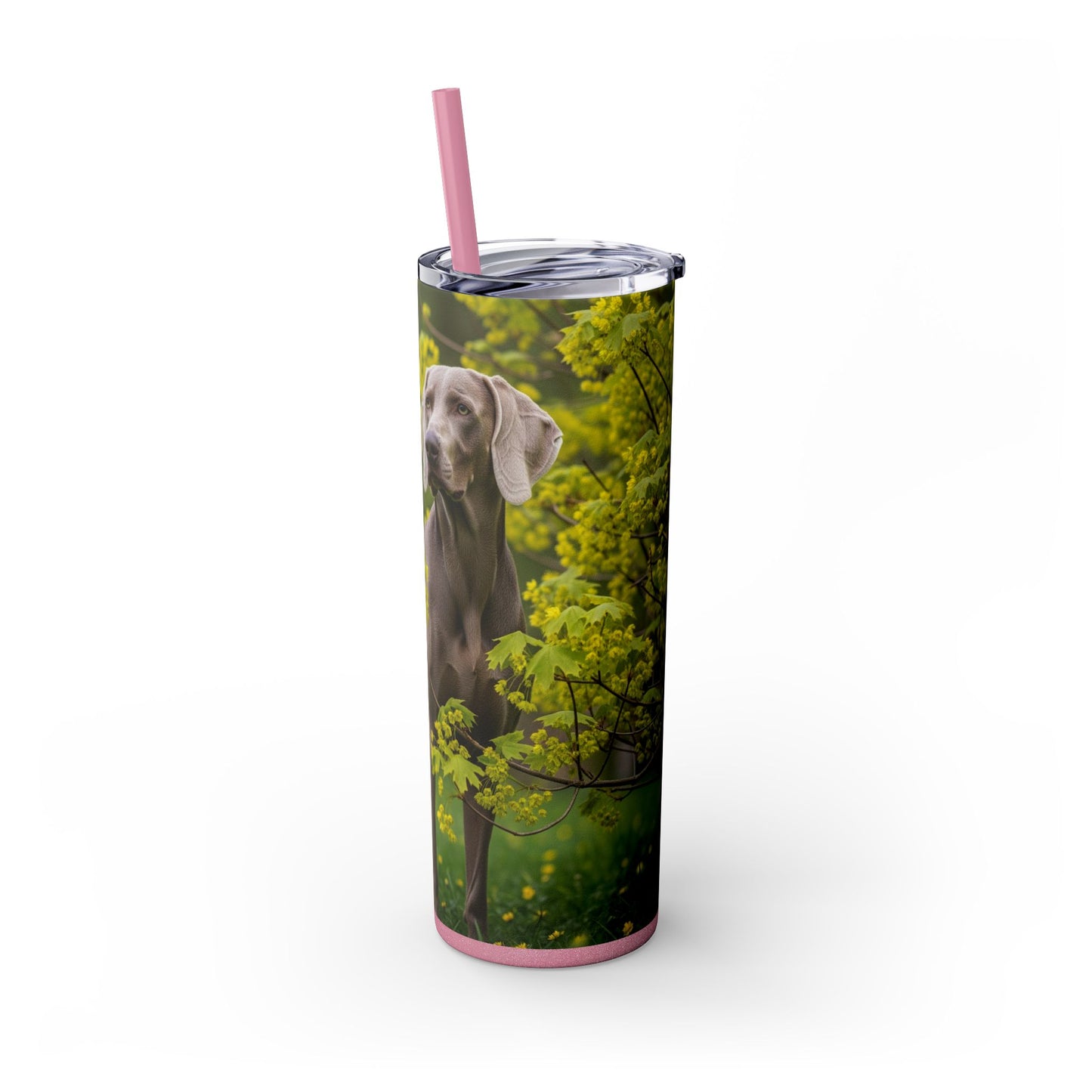 Weimaraner Skinny Tumbler with Straw, 20oz