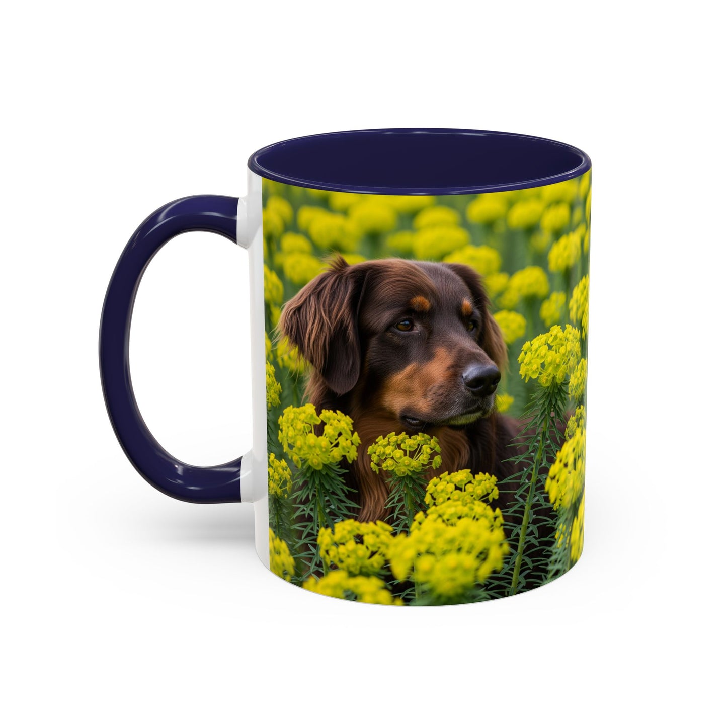 Hovawart Accent Coffee Mug - Perfect Gift for Dog Lovers