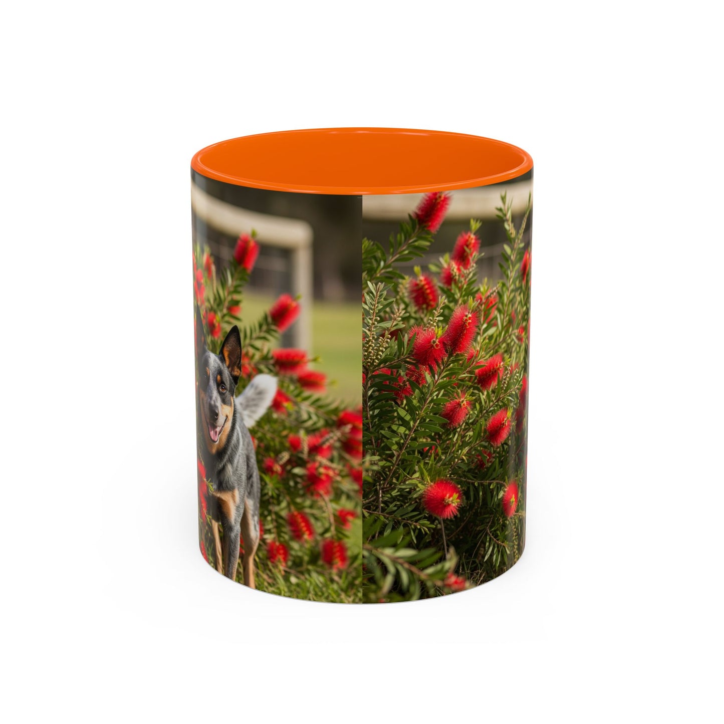 Australian Cattle Dog Accent Coffee Mug - Perfect Gift for Dog Lovers