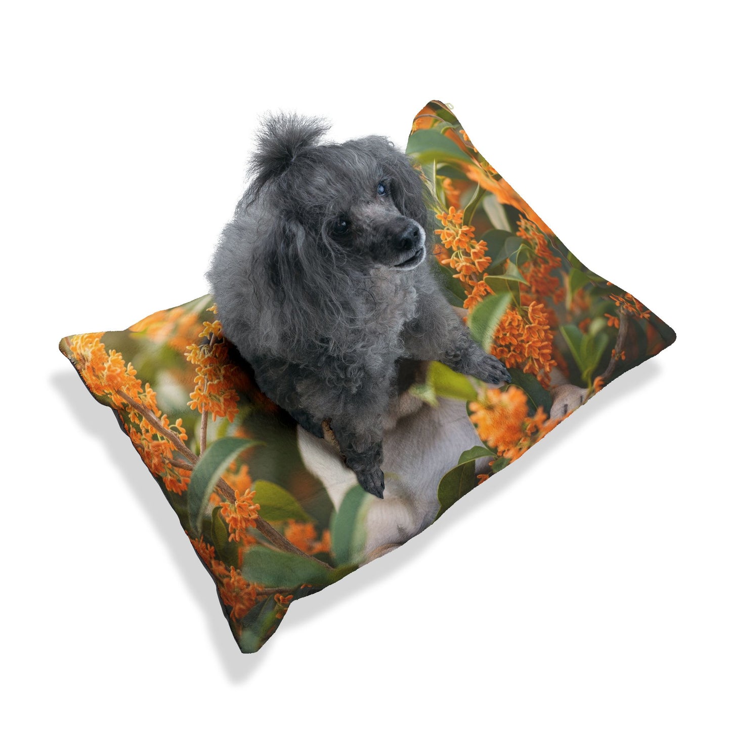 Pug Pet Bed
