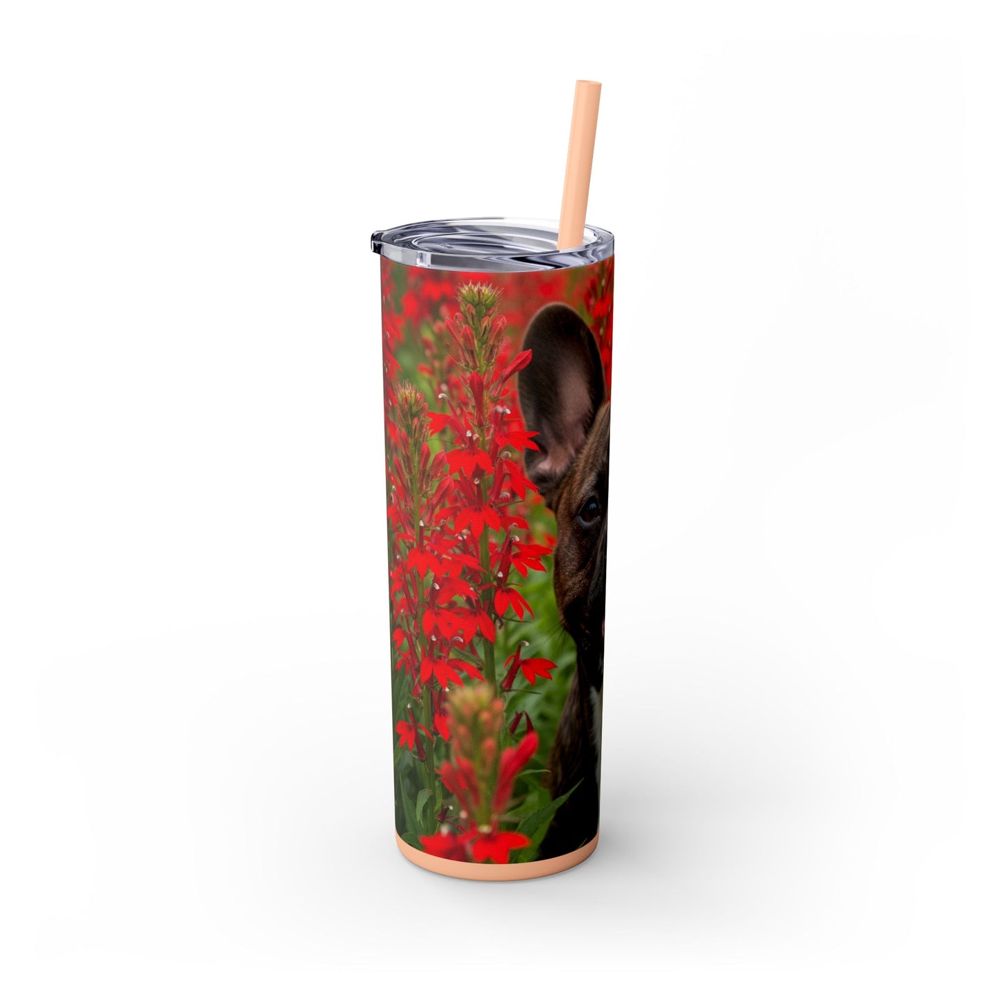 Frenchton Tumbler with Straw, 20oz