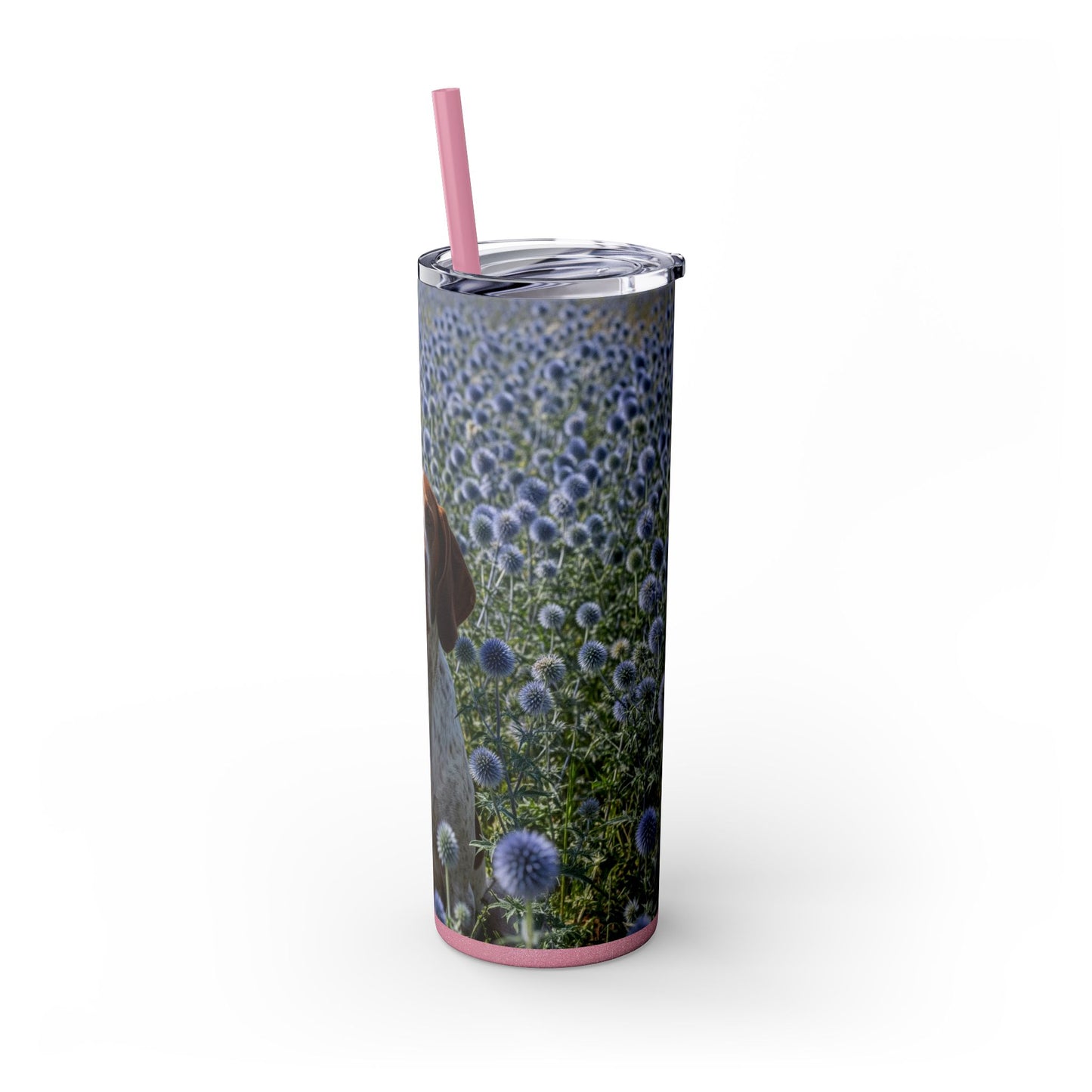 Braque Francais Pyrenean Tumbler with Straw, 20oz