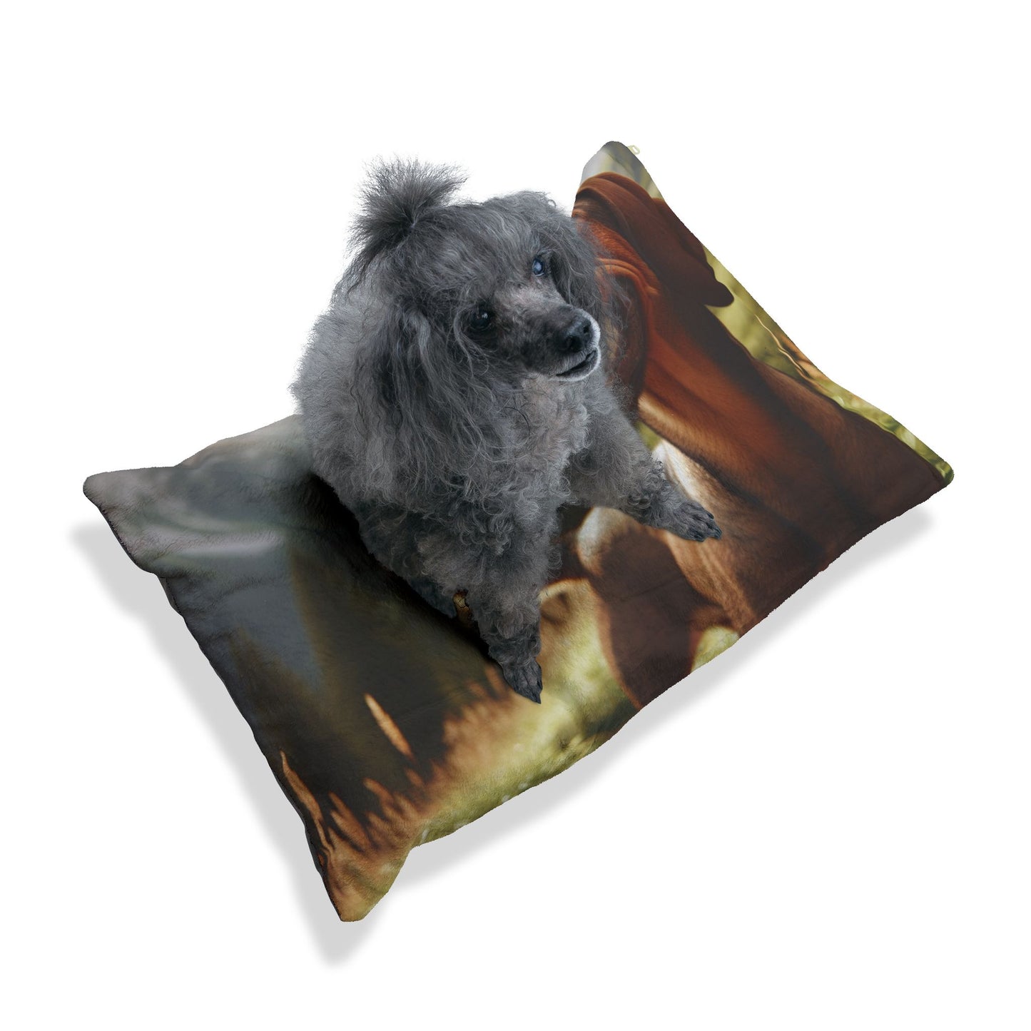 Bavarian Mountain Scent Hound Pet Bed