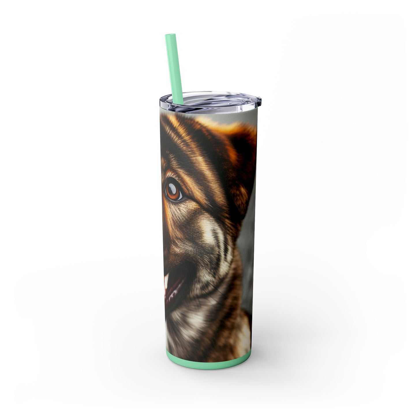 Kai Ken Tumbler with Straw, 20oz