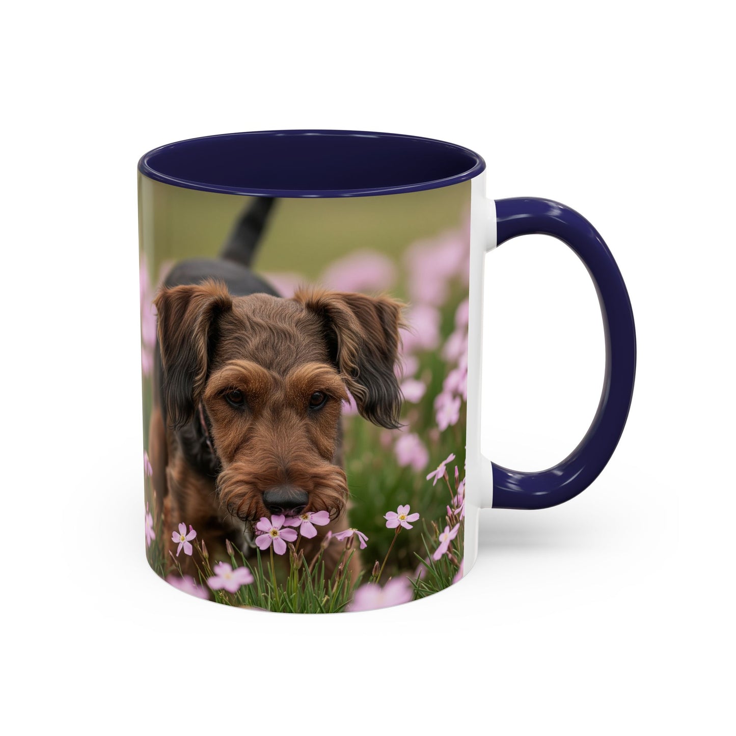 Cesky Terrier Accent Coffee Mug - Perfect Gift for Dog Lovers