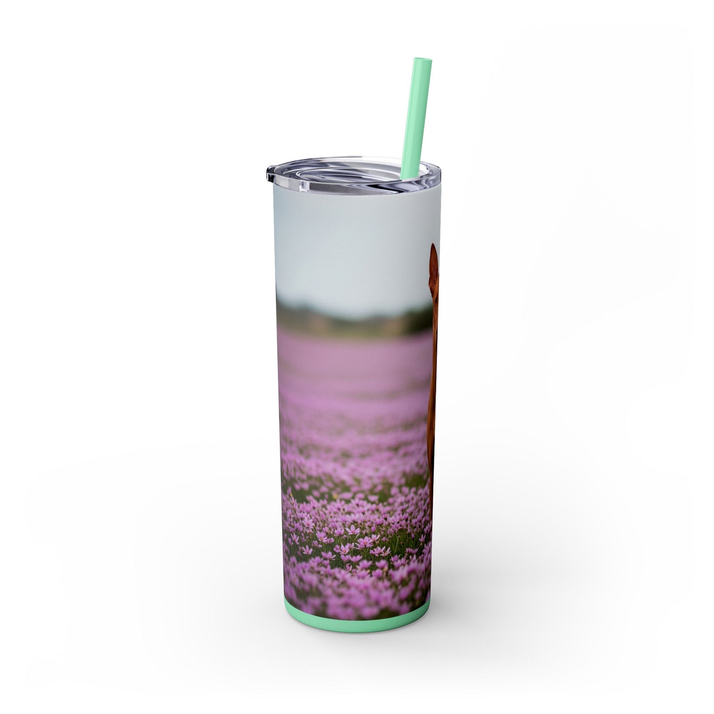 Pharaoh Hound Skinny Tumbler with Straw, 20oz